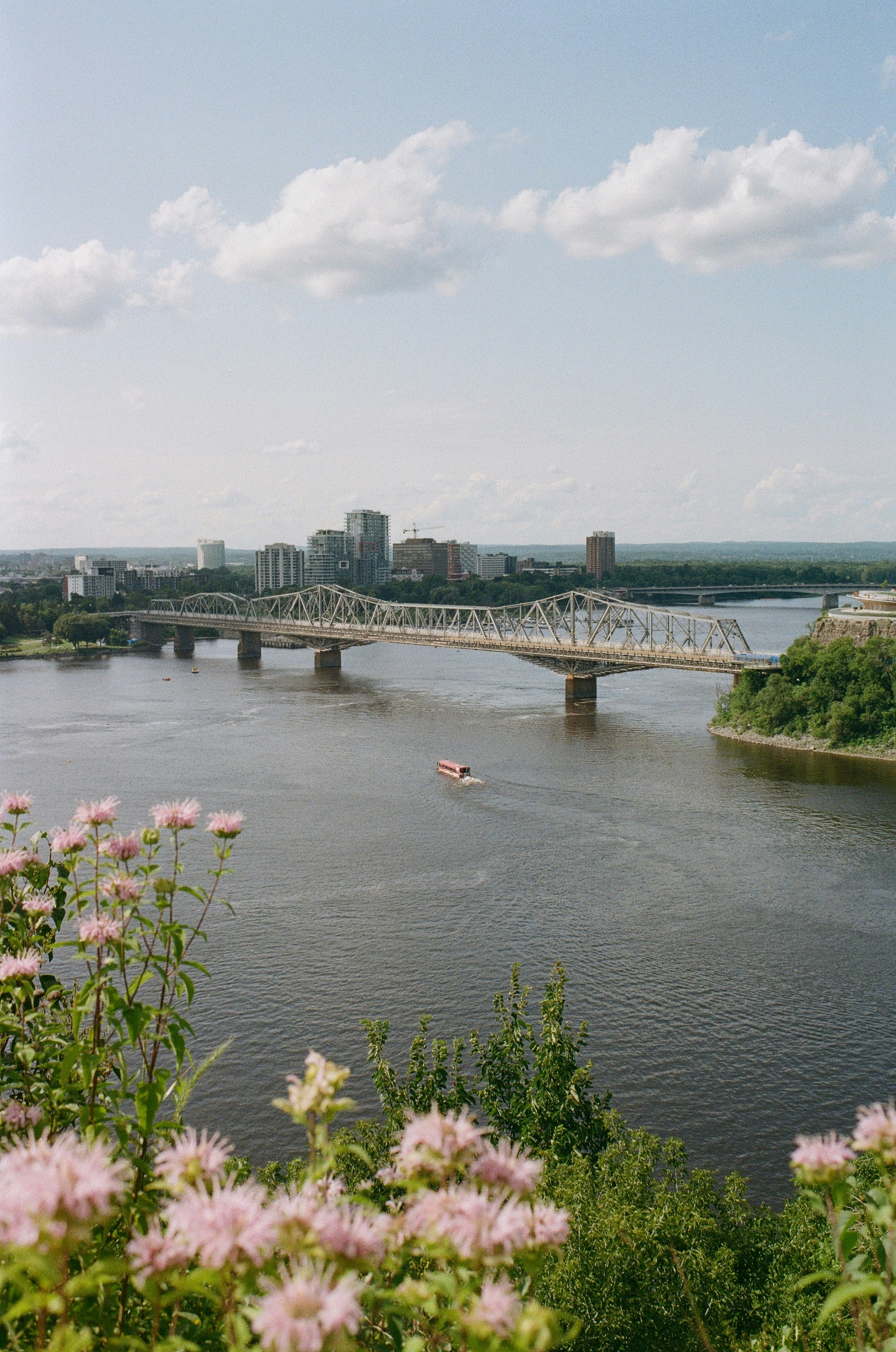 A view of a bridge over a river