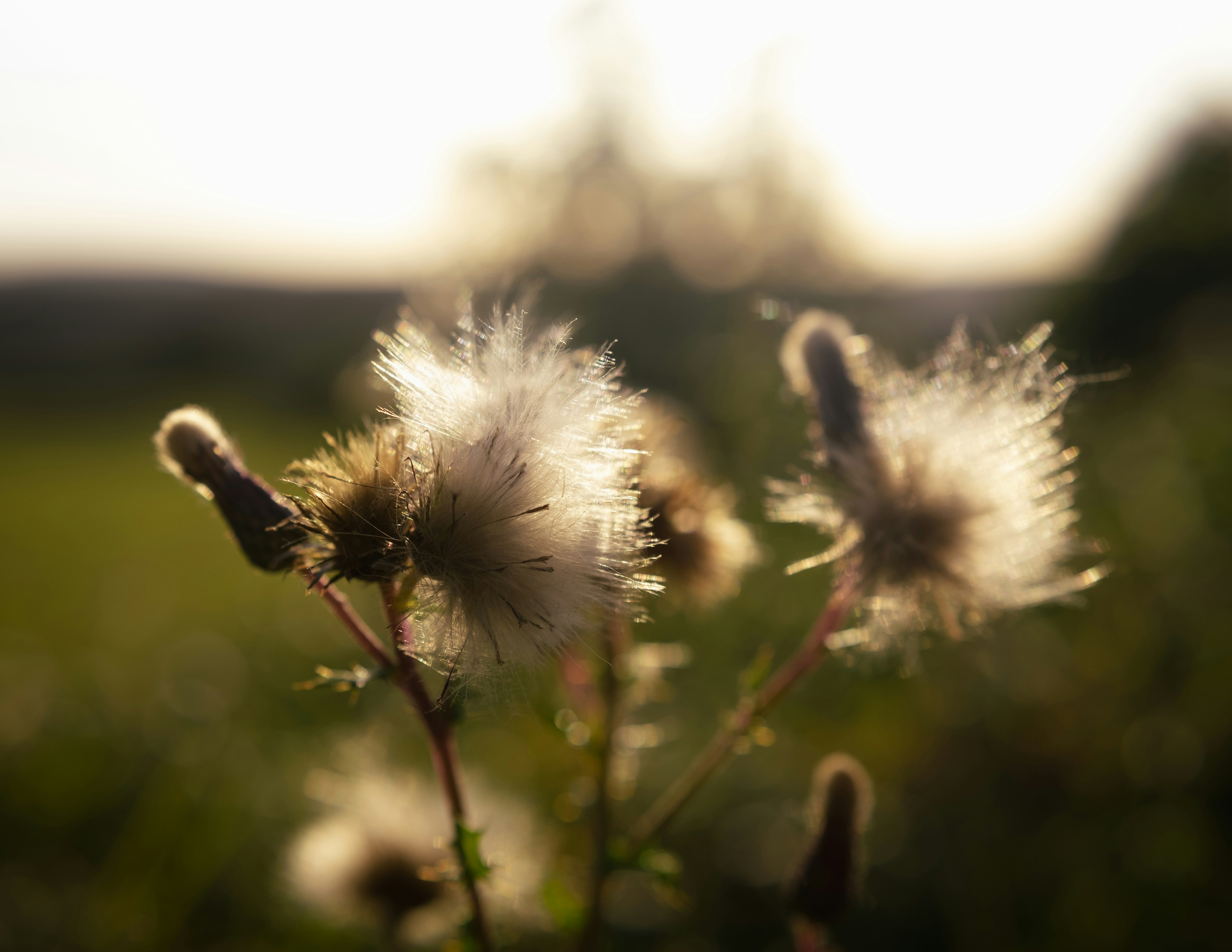 Photo by rory_tucker_photography