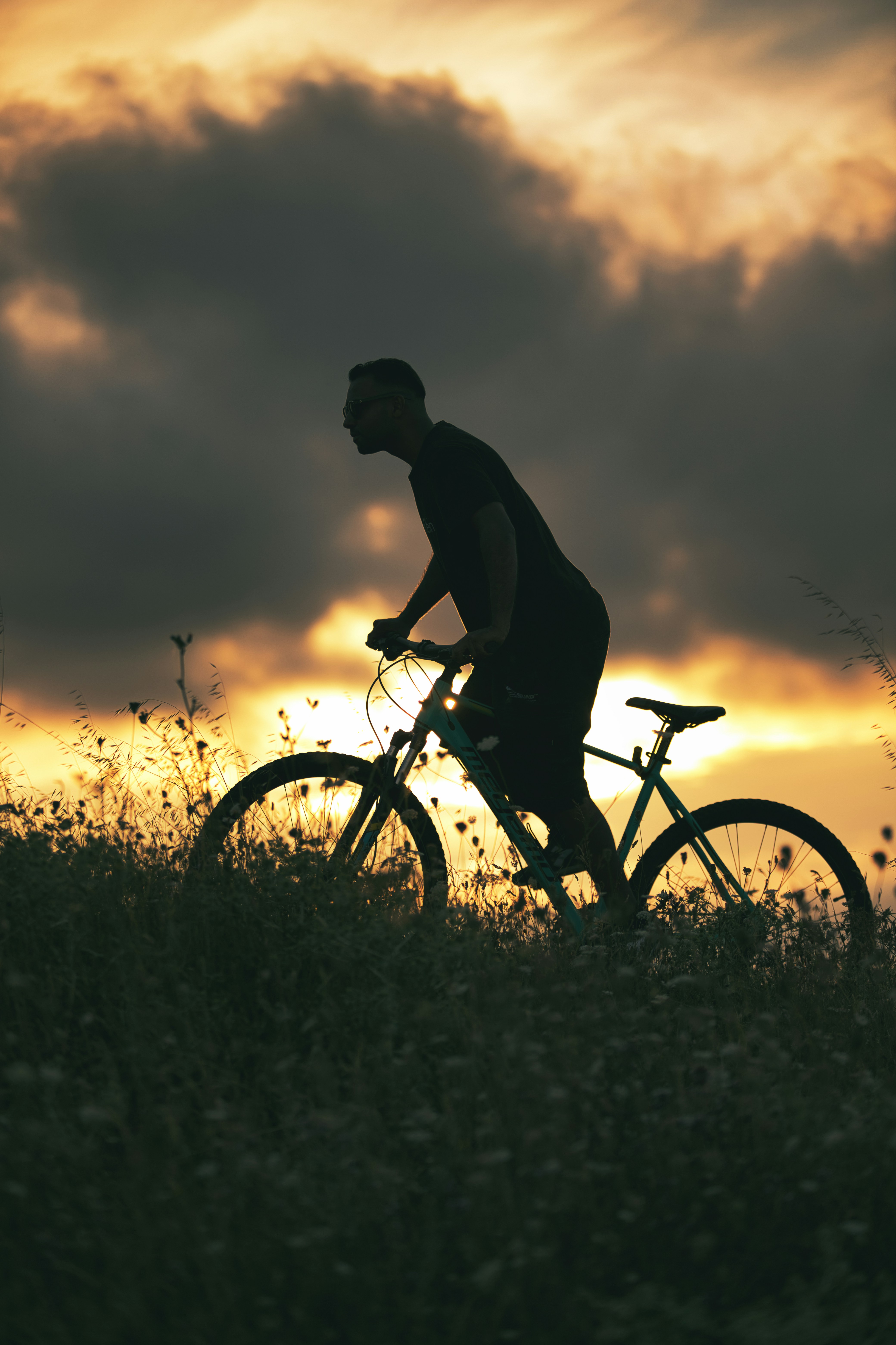 A man riding a bike down a lush green field