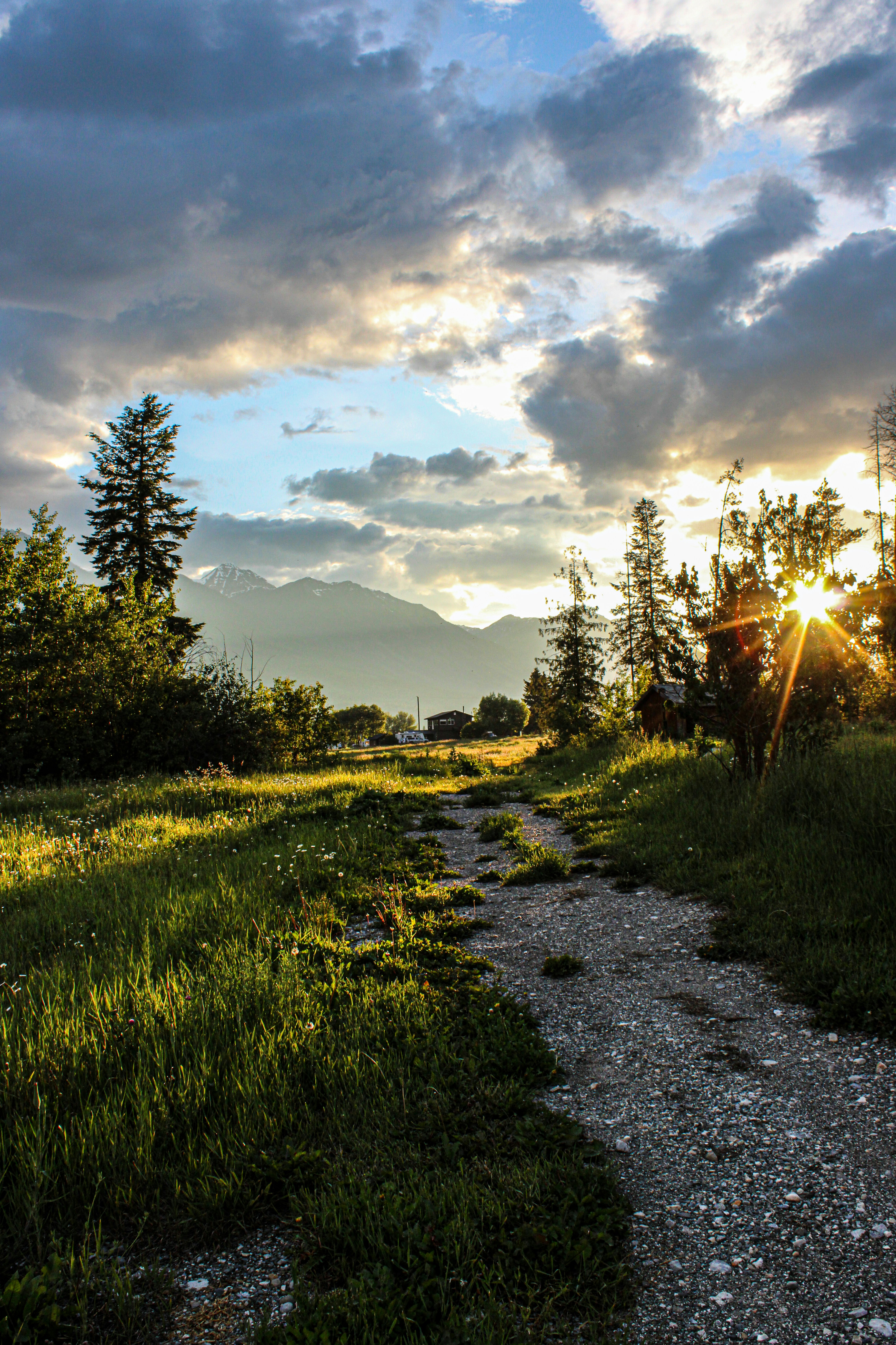 The sun is setting over a grassy field