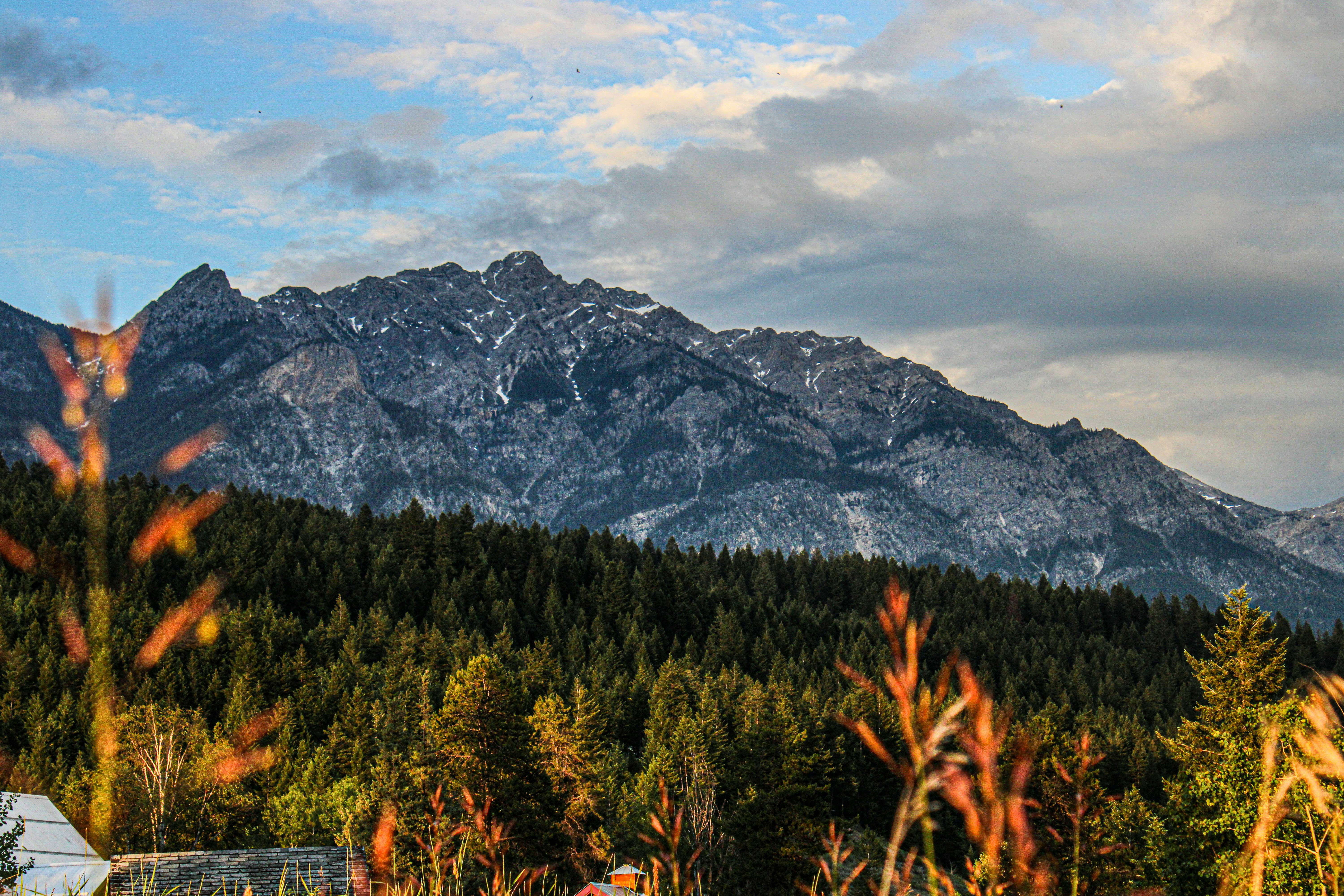 A scenic view of a mountain range with trees in the foreground
