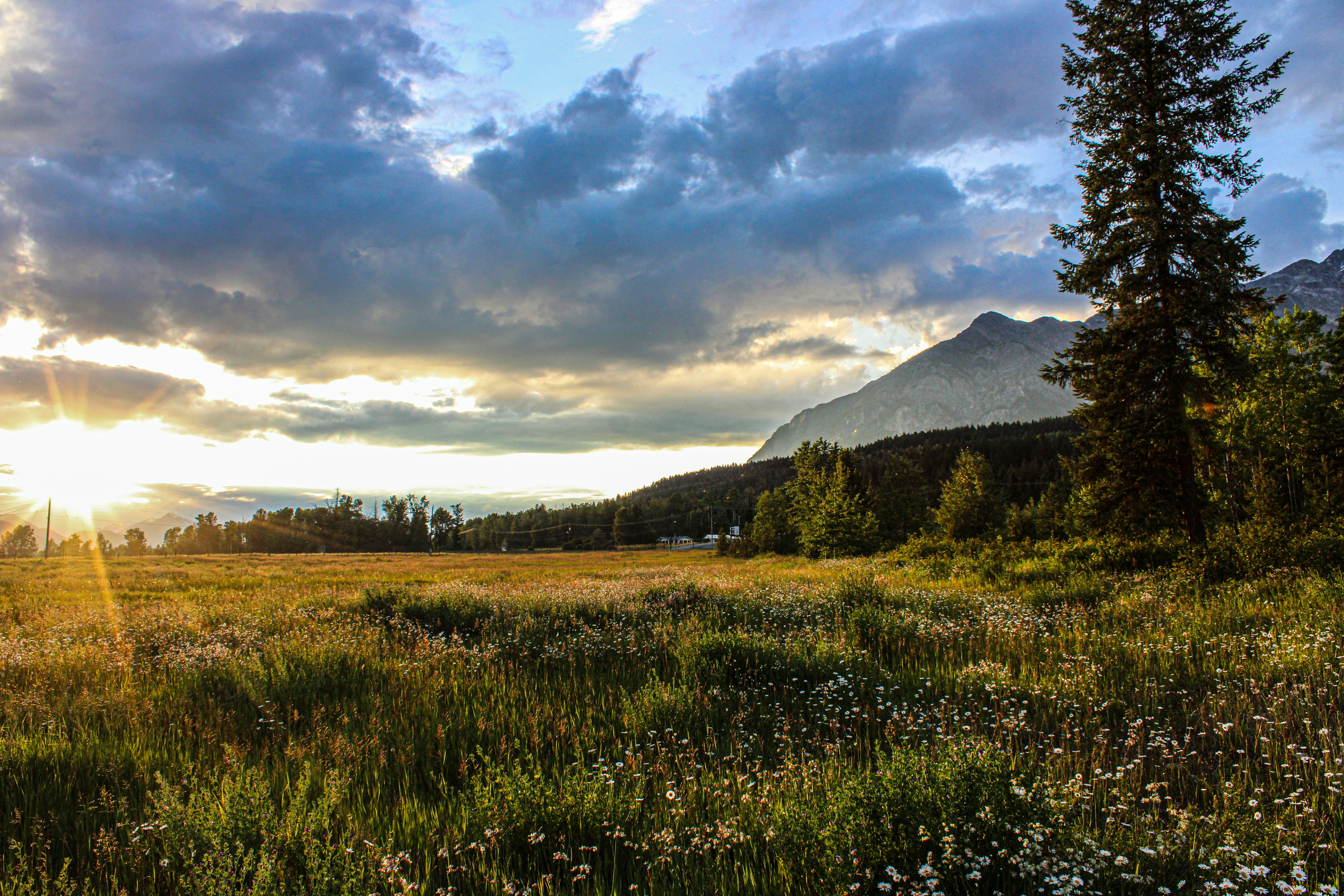 Photo by prphotography262