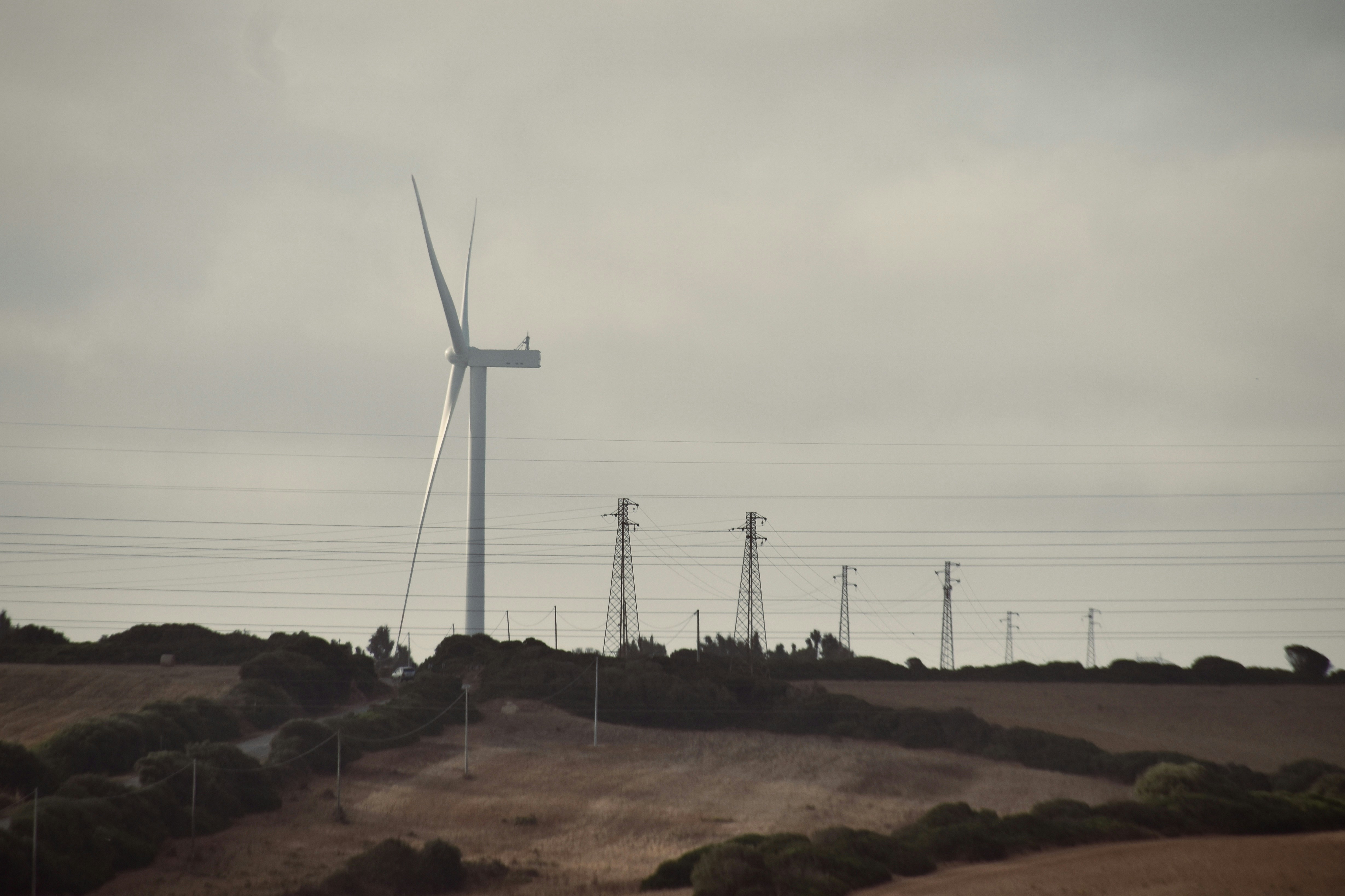 MZ세대 뇌 회로 풀가동! 궁금증 폭발 직전, 지금 바로 클릭!