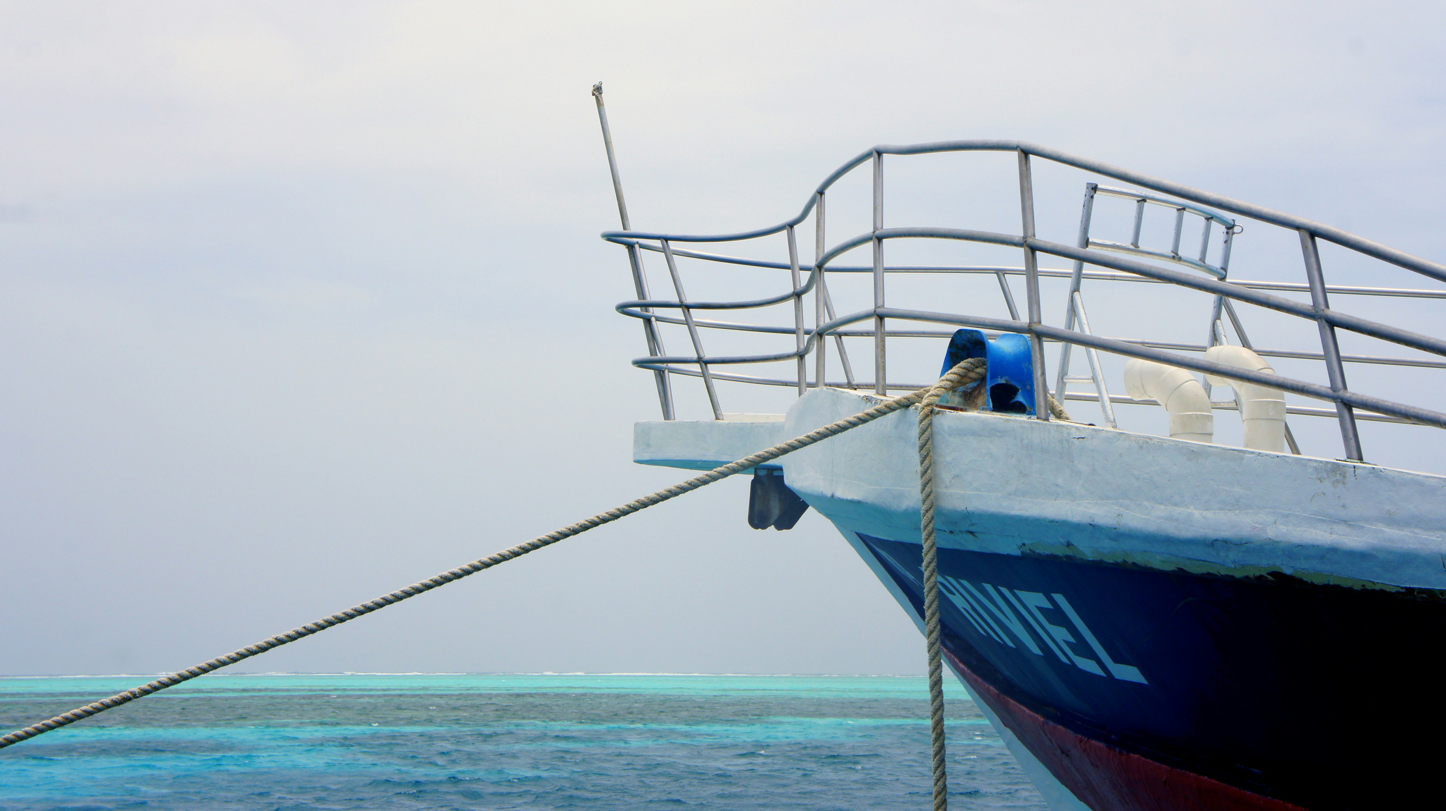 A blue and white boat in the water