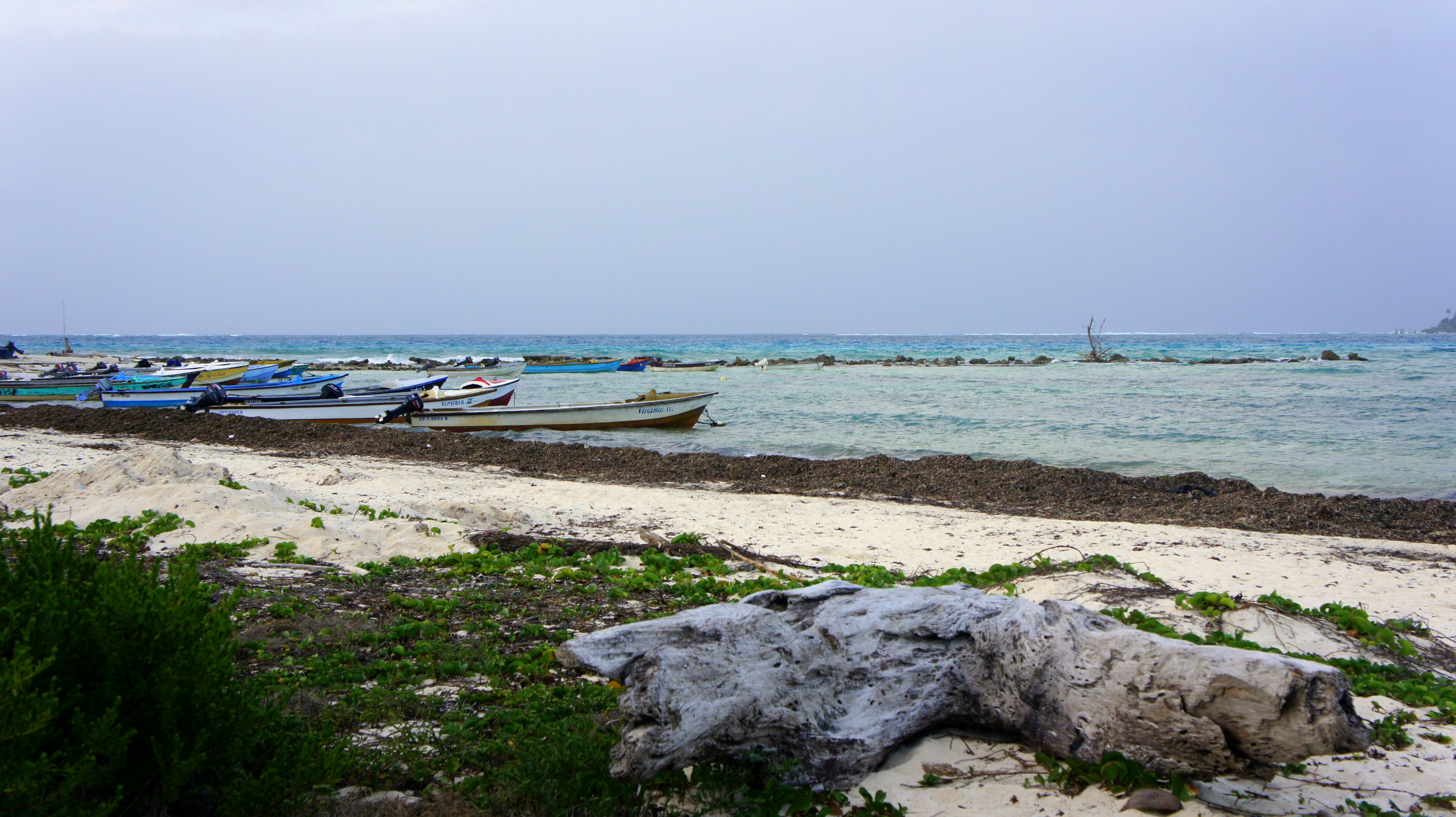 A bunch of boats that are sitting in the water