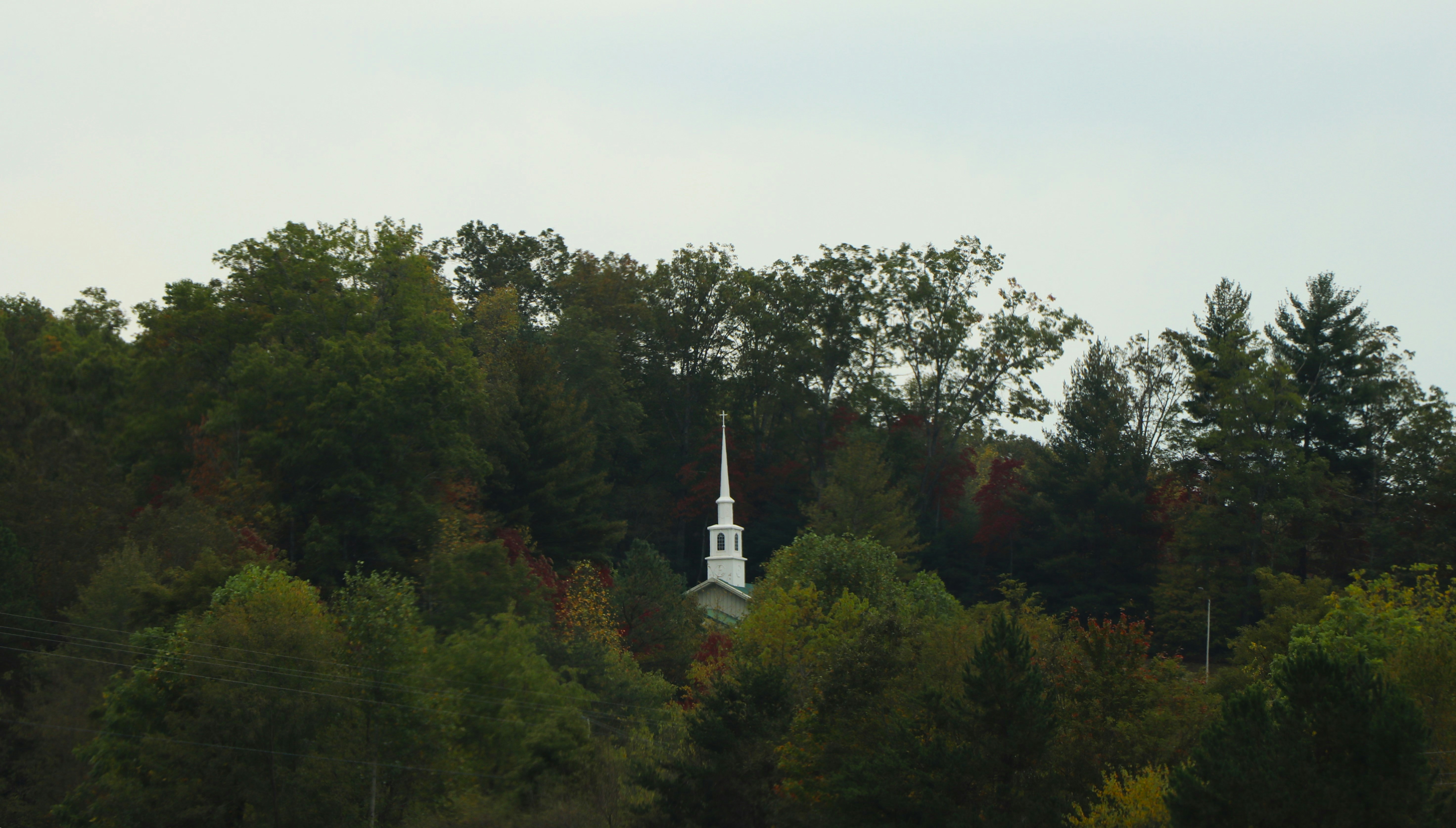 A church steeple in the middle of a forest