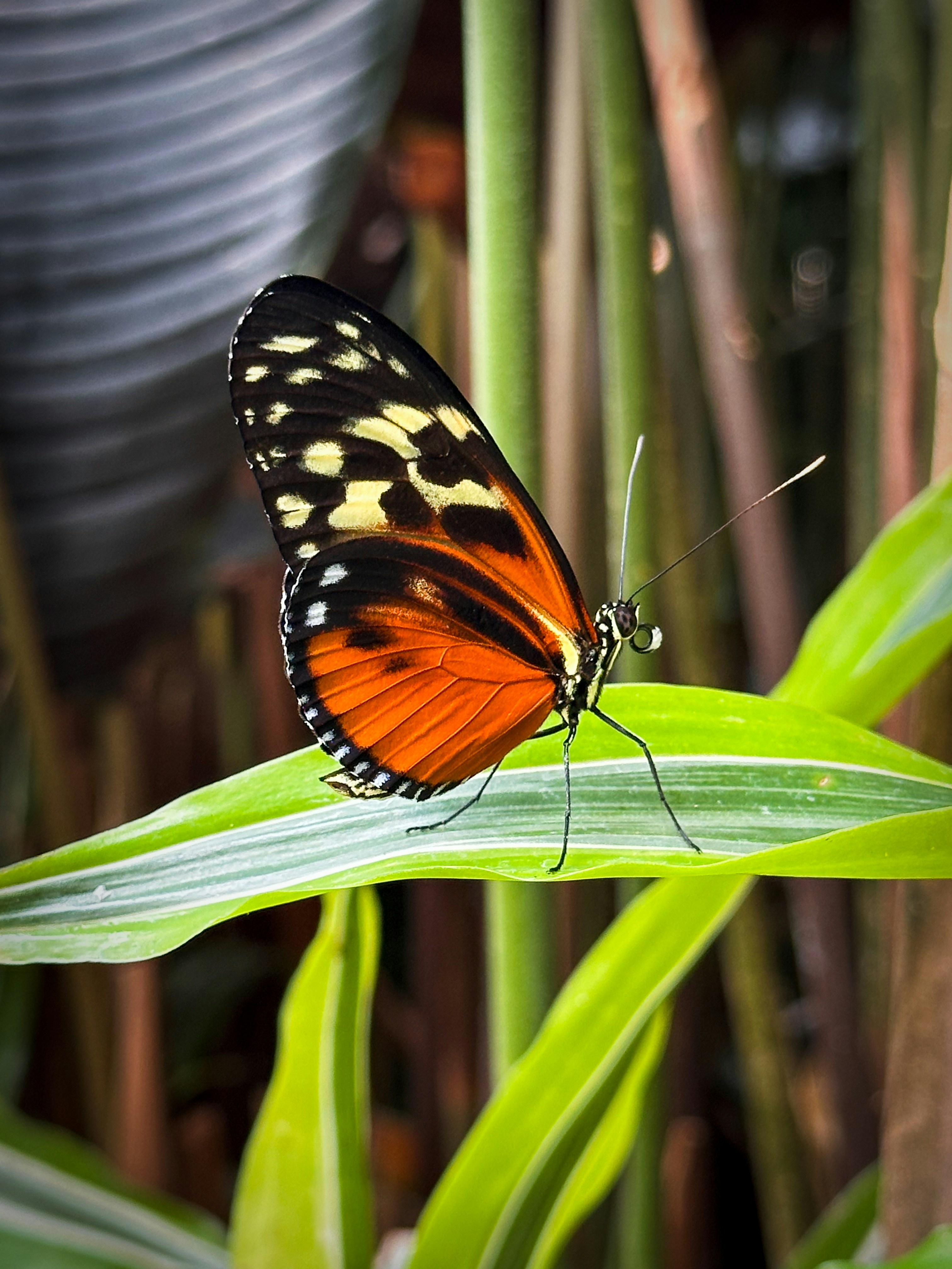 Photo by cntrlcommand