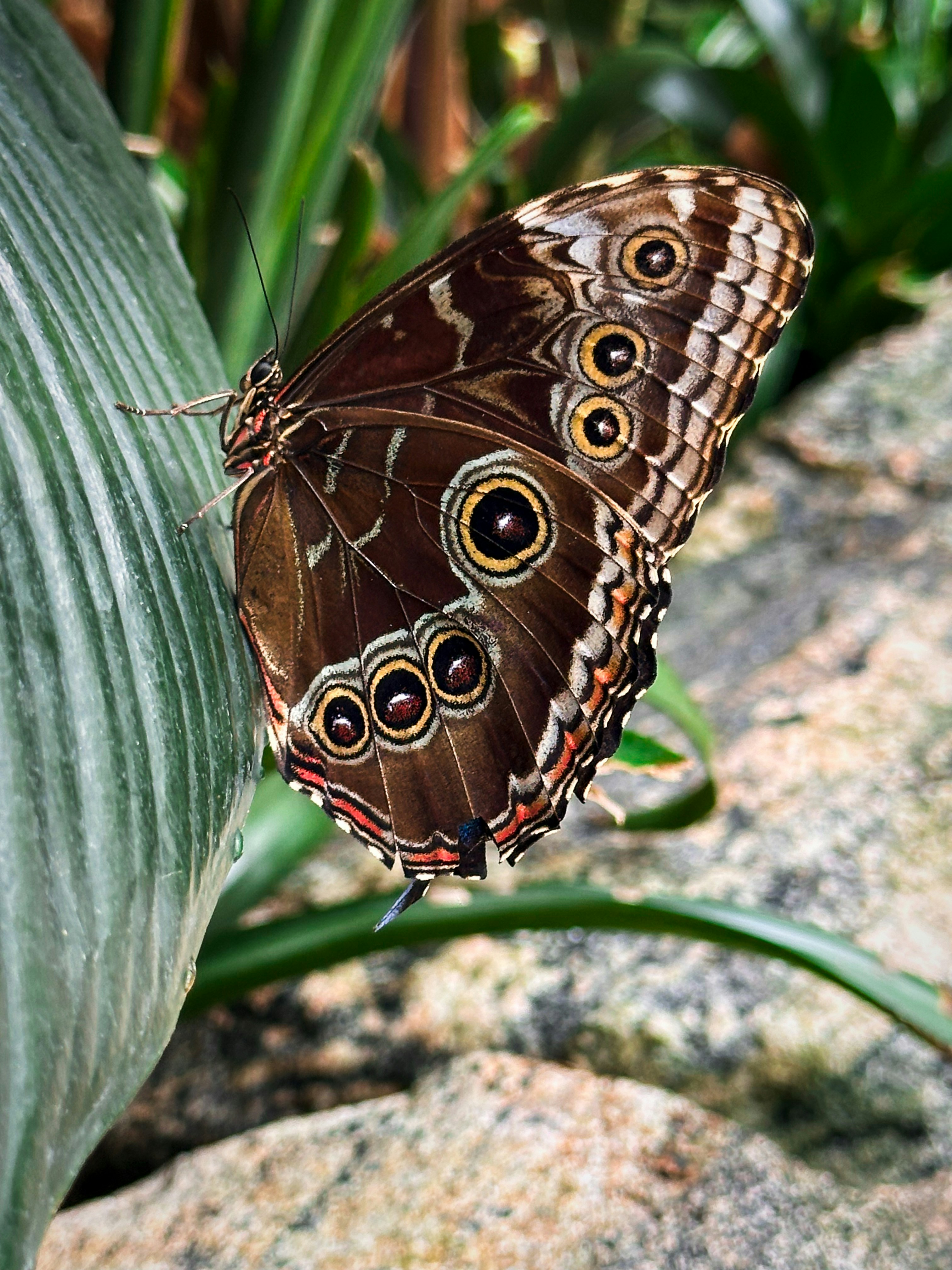 Photo by cntrlcommand