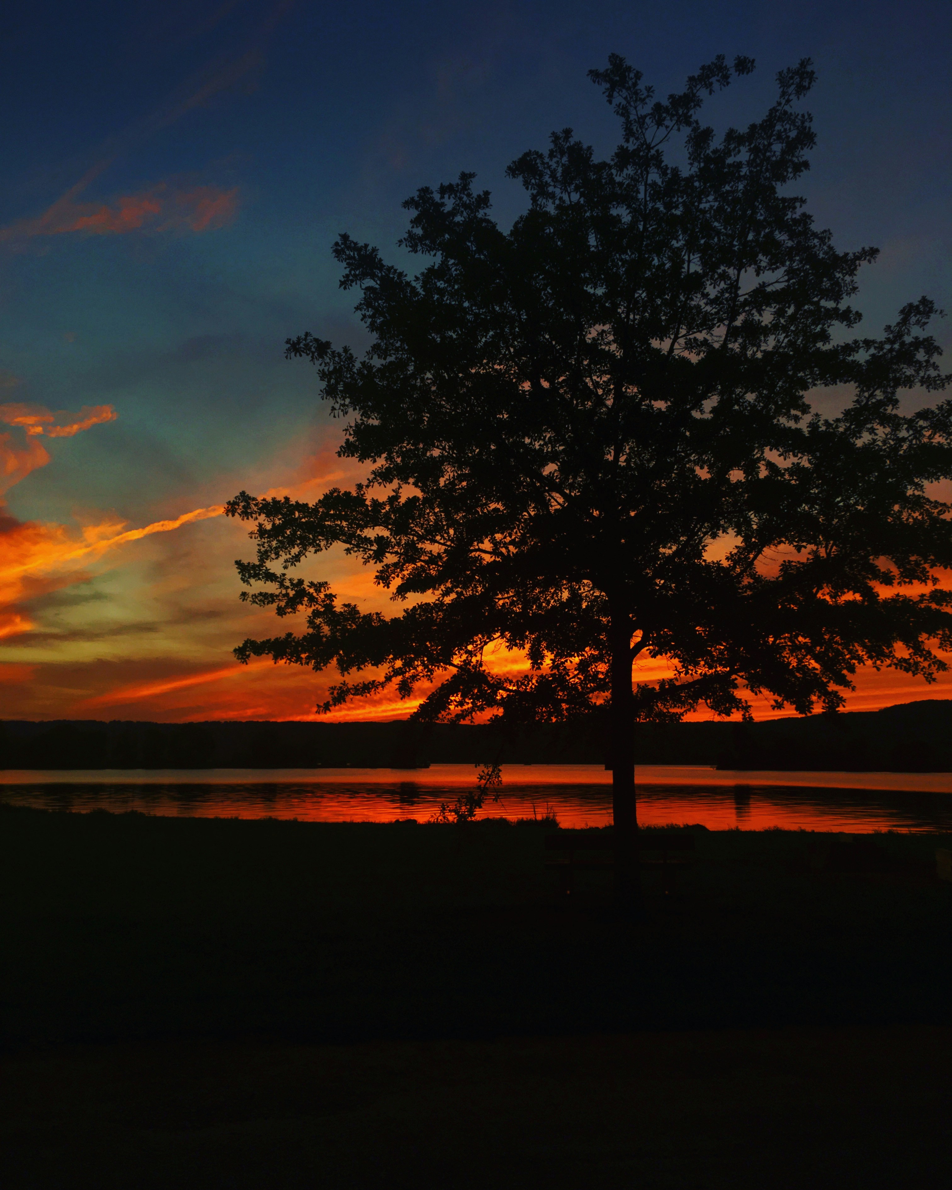 Photo by daniellereneasphotography