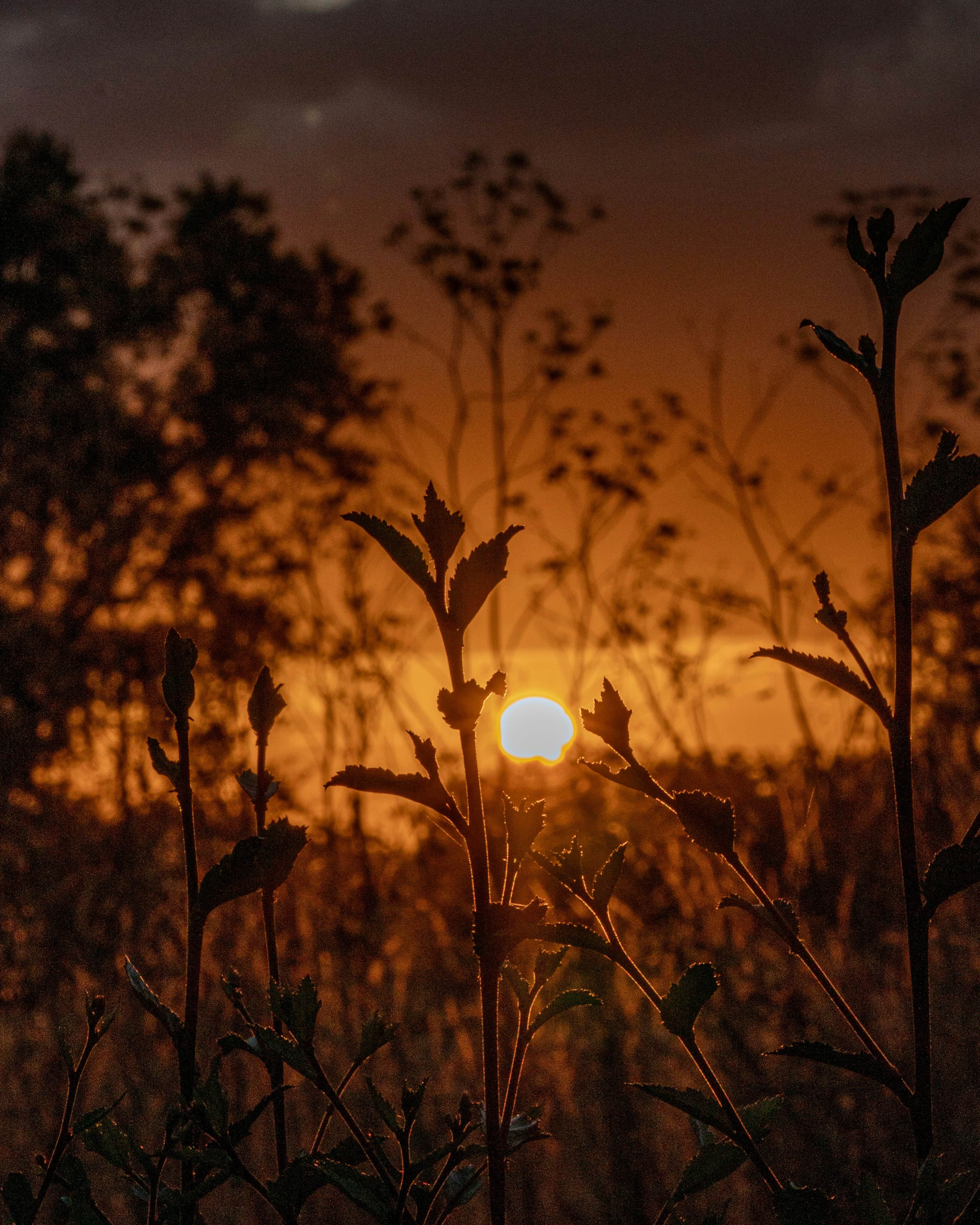 Photo by mfz_capturas