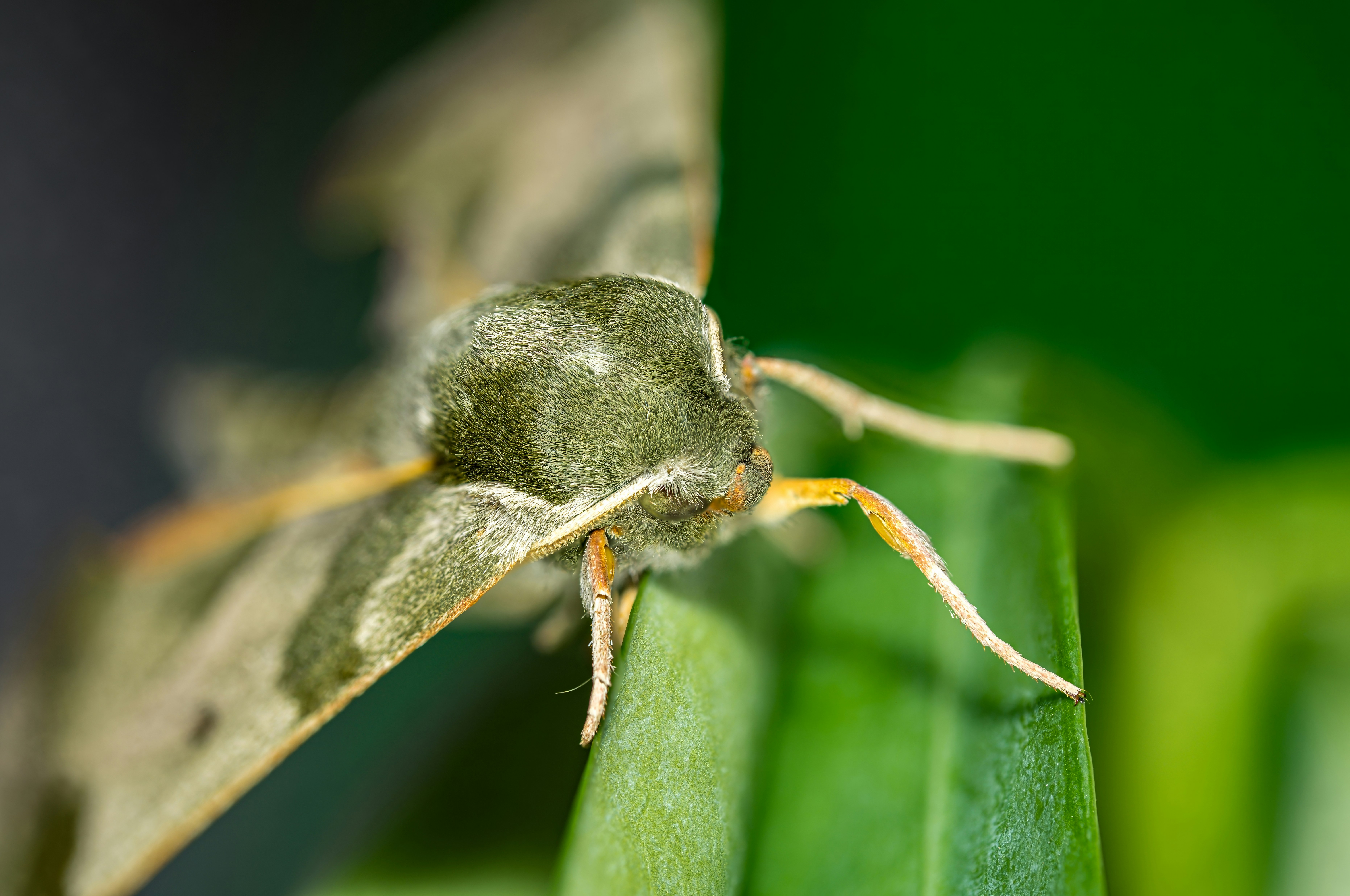 Photo by alexandredaoust