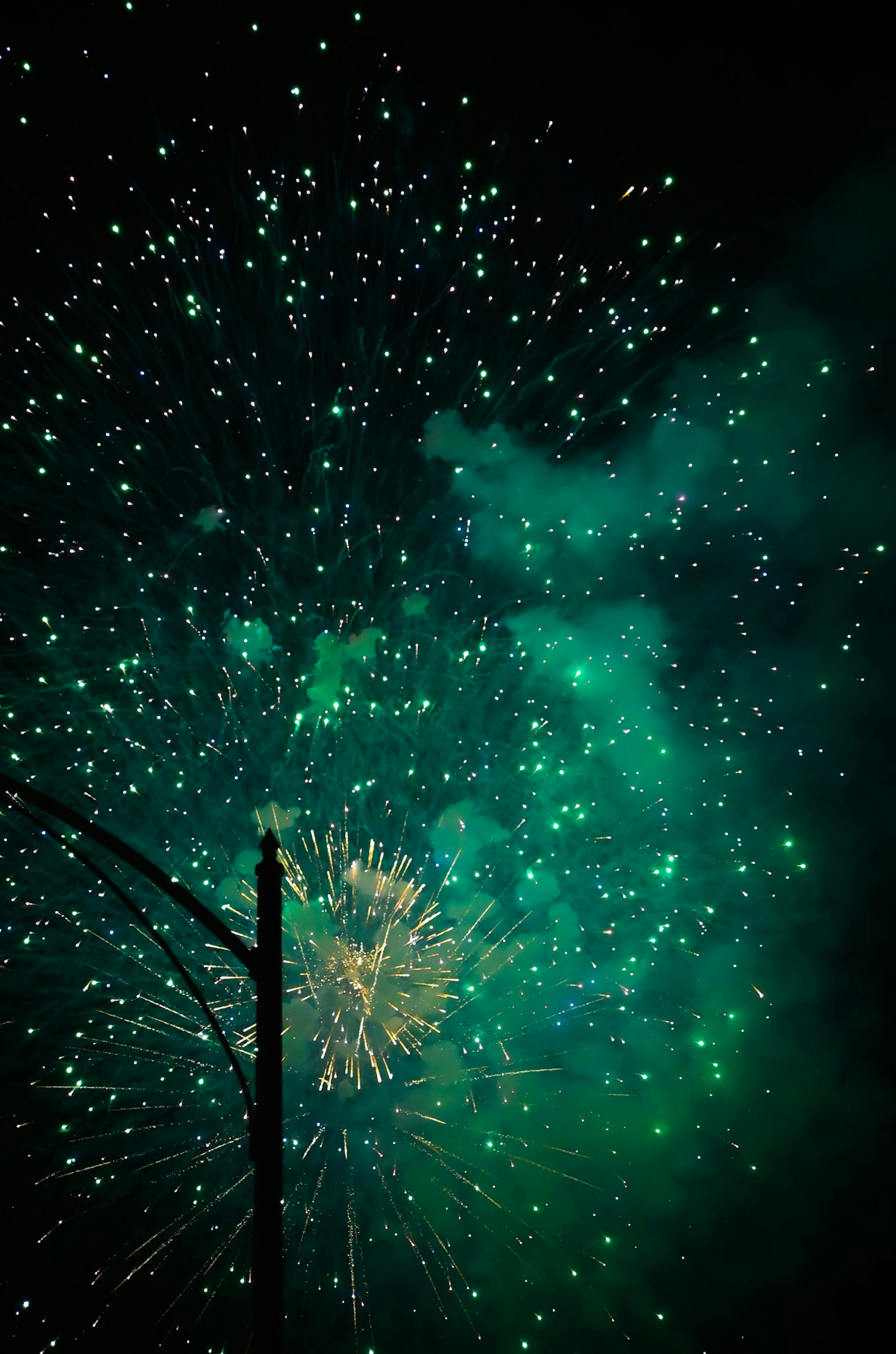A green and white fireworks in the night sky