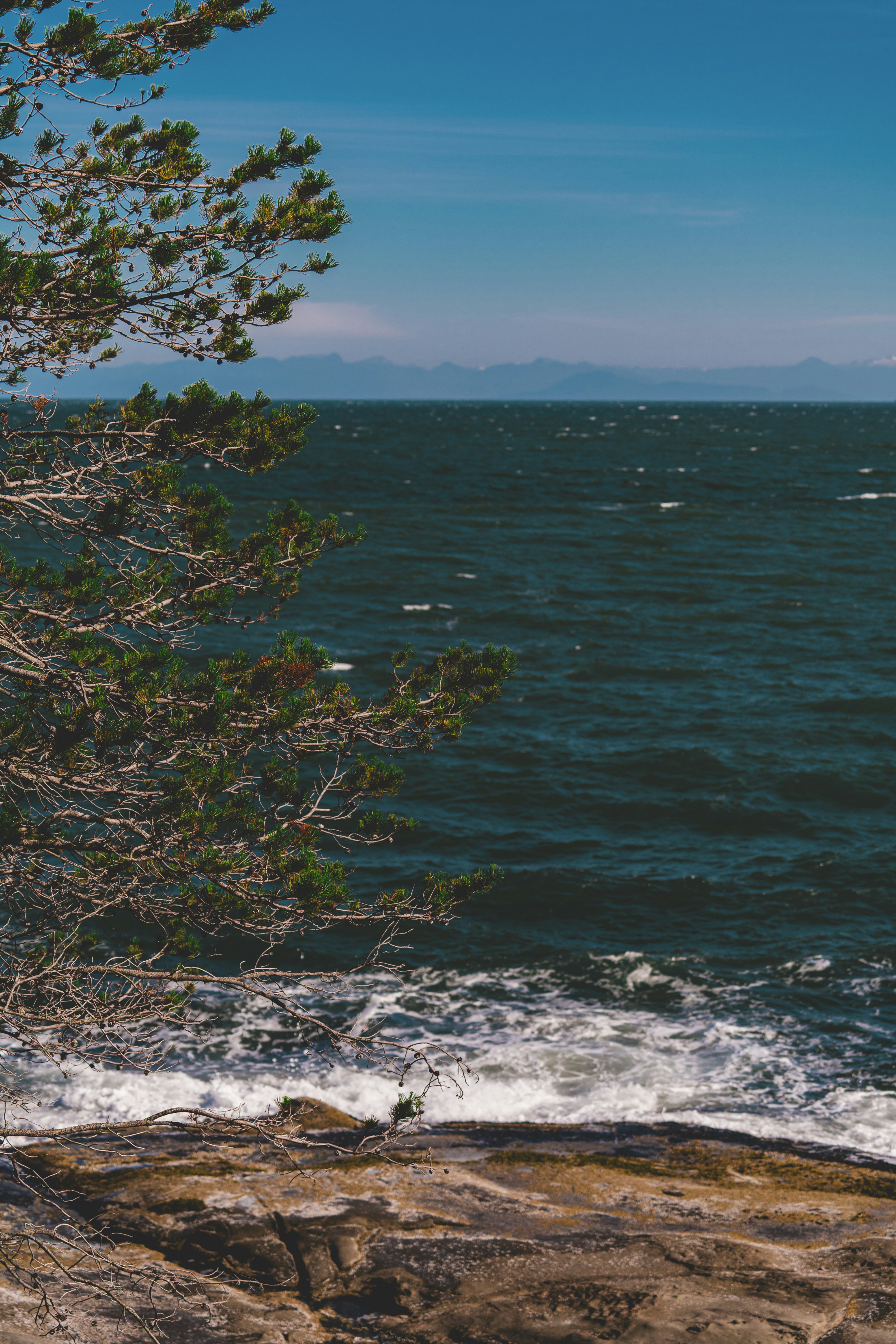 Photo by jaspergarrattphotography