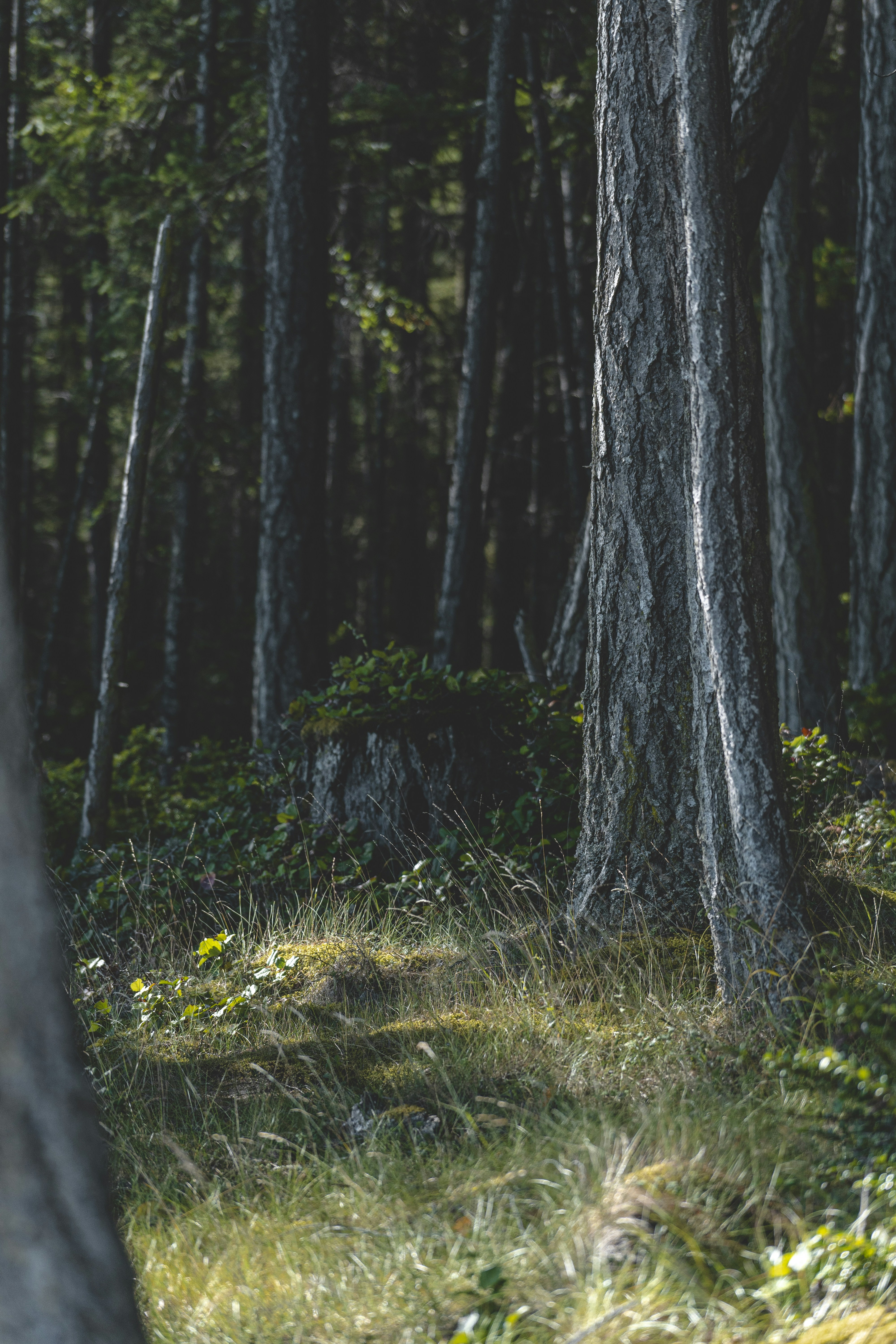 Photo by jaspergarrattphotography