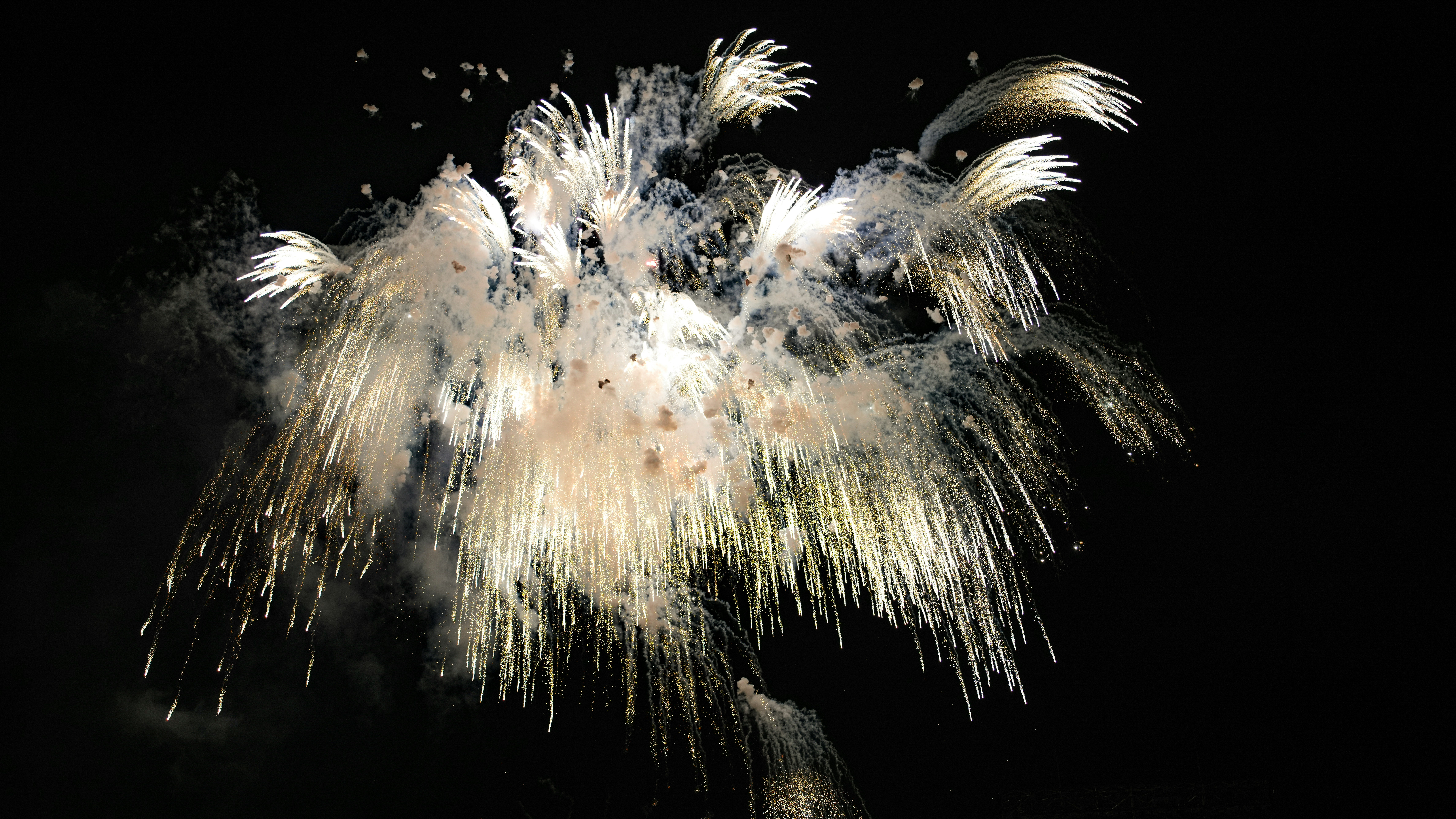 A firework exploding in the night sky