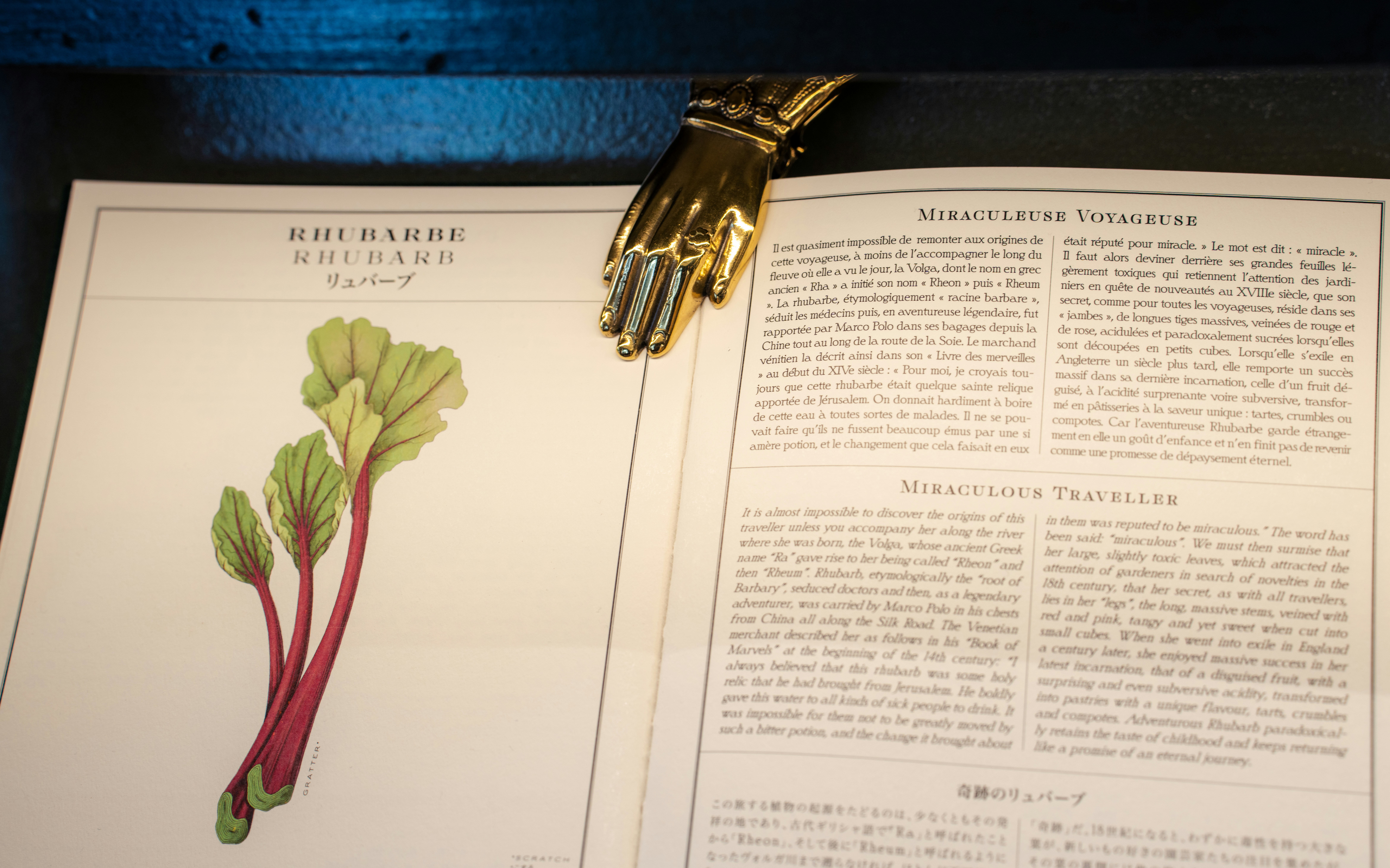 An open book with a picture of a radishes on it