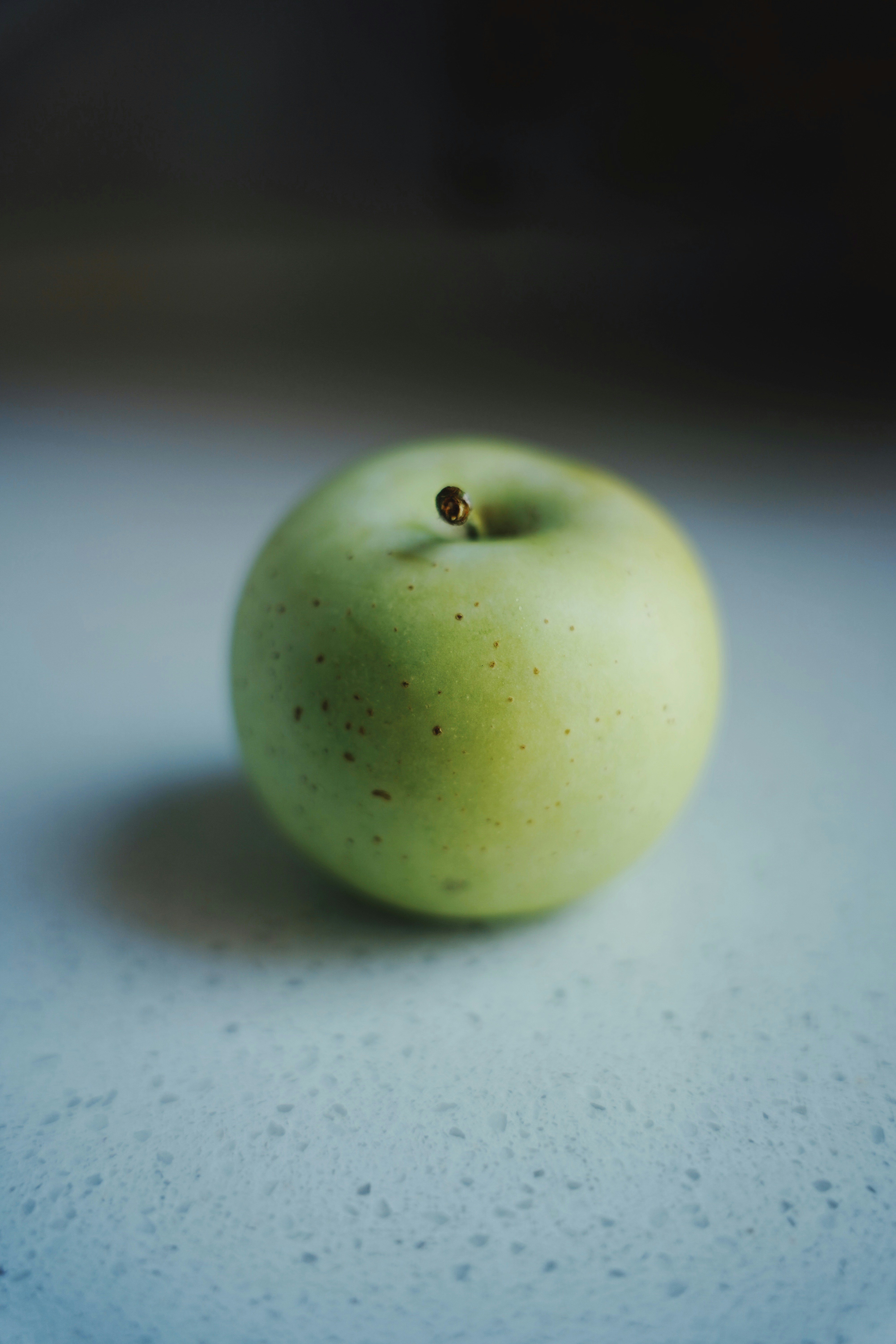 Photo by vincewatson