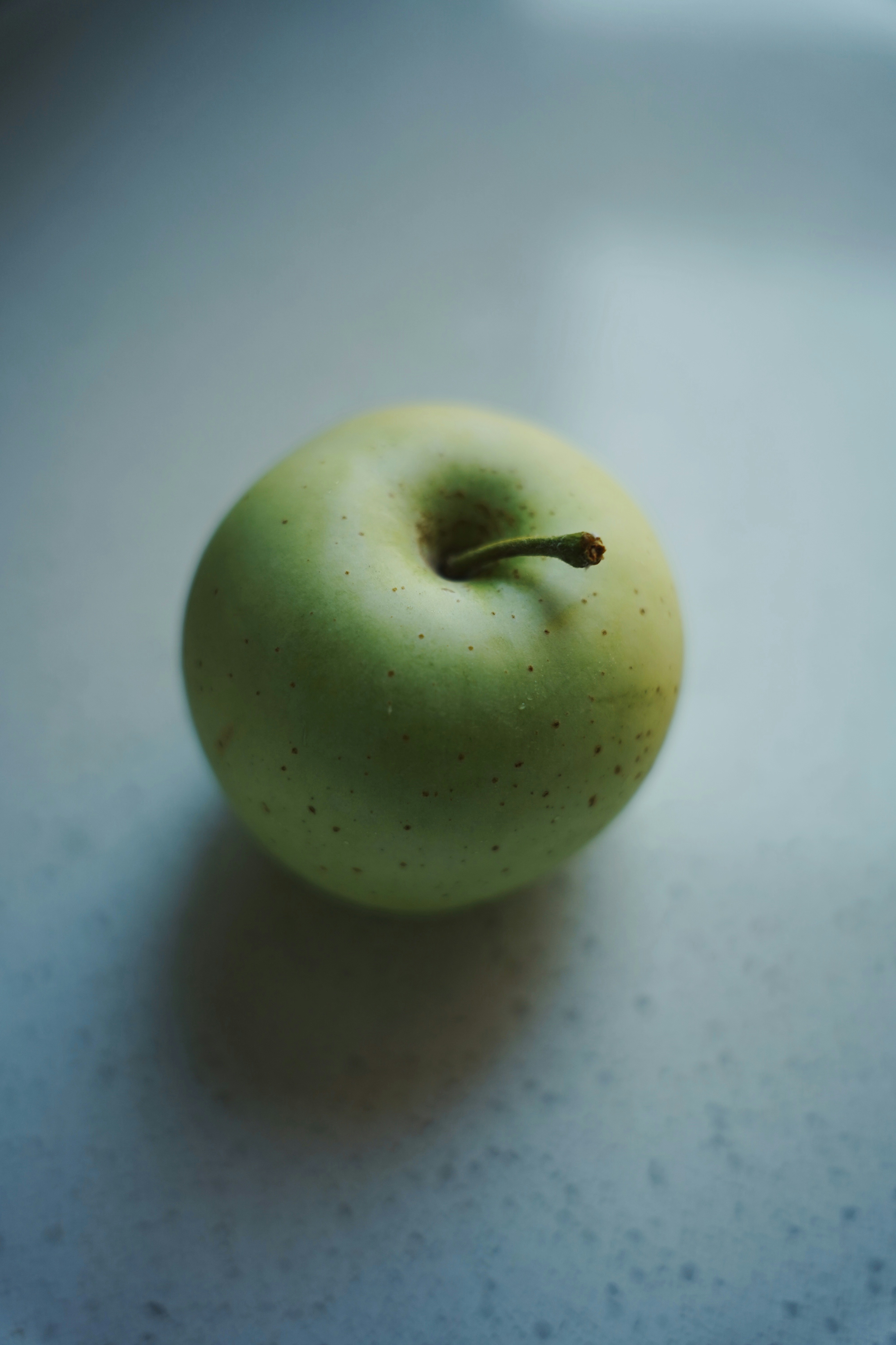 Photo by vincewatson