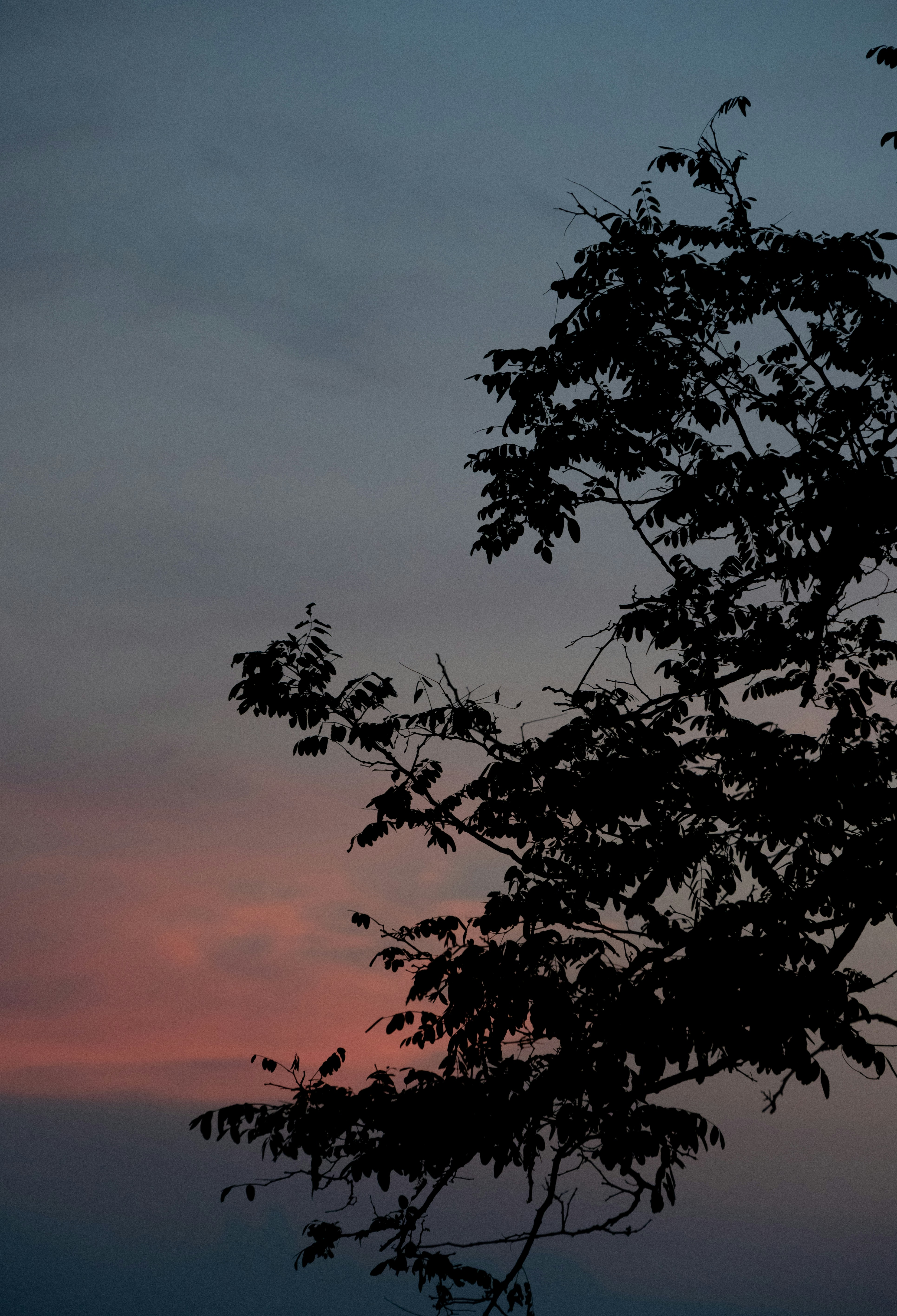 Photo by nikol_royce