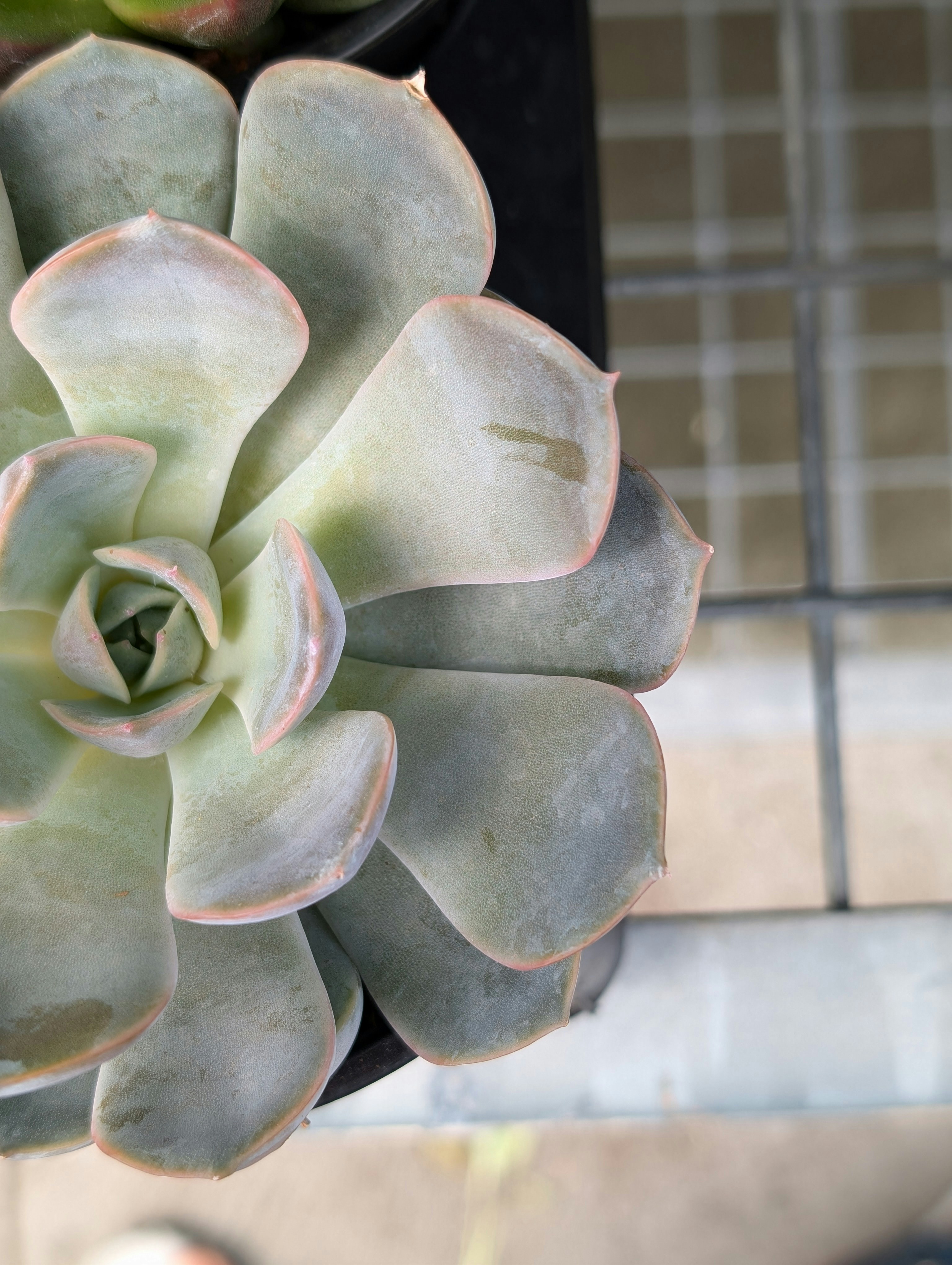 Photo by hashcode_error