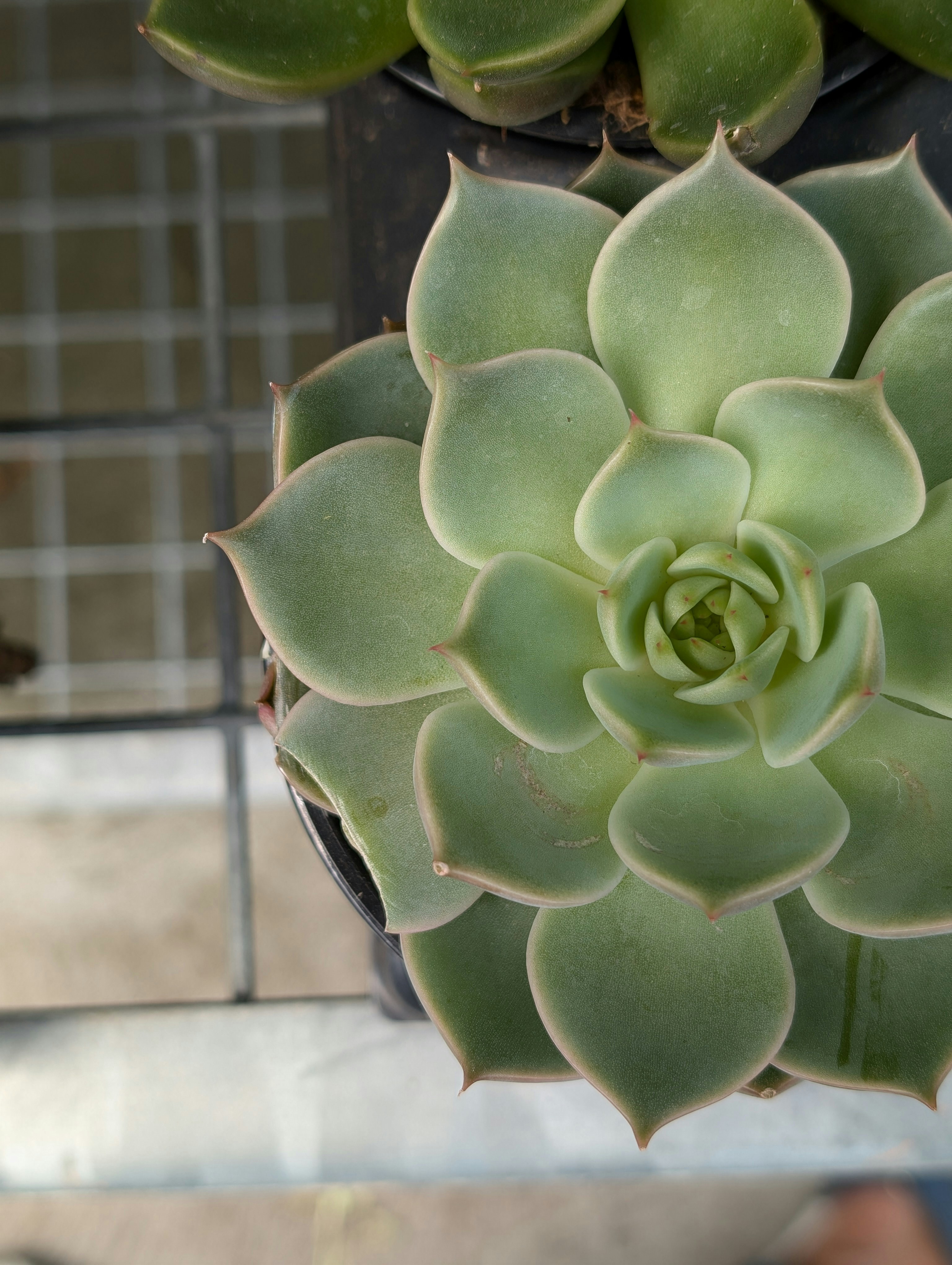 Photo by hashcode_error