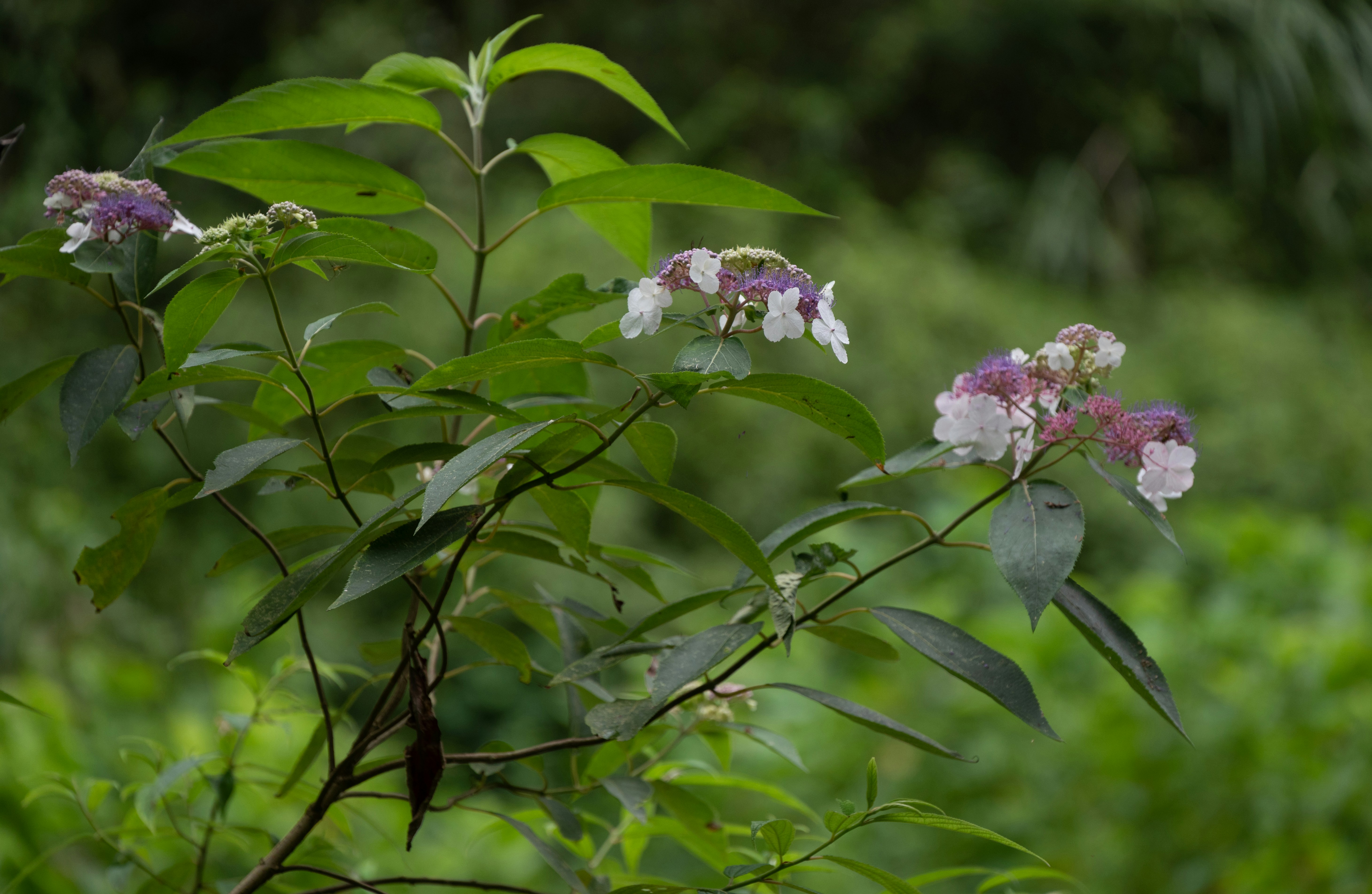 Photo by nikol_royce