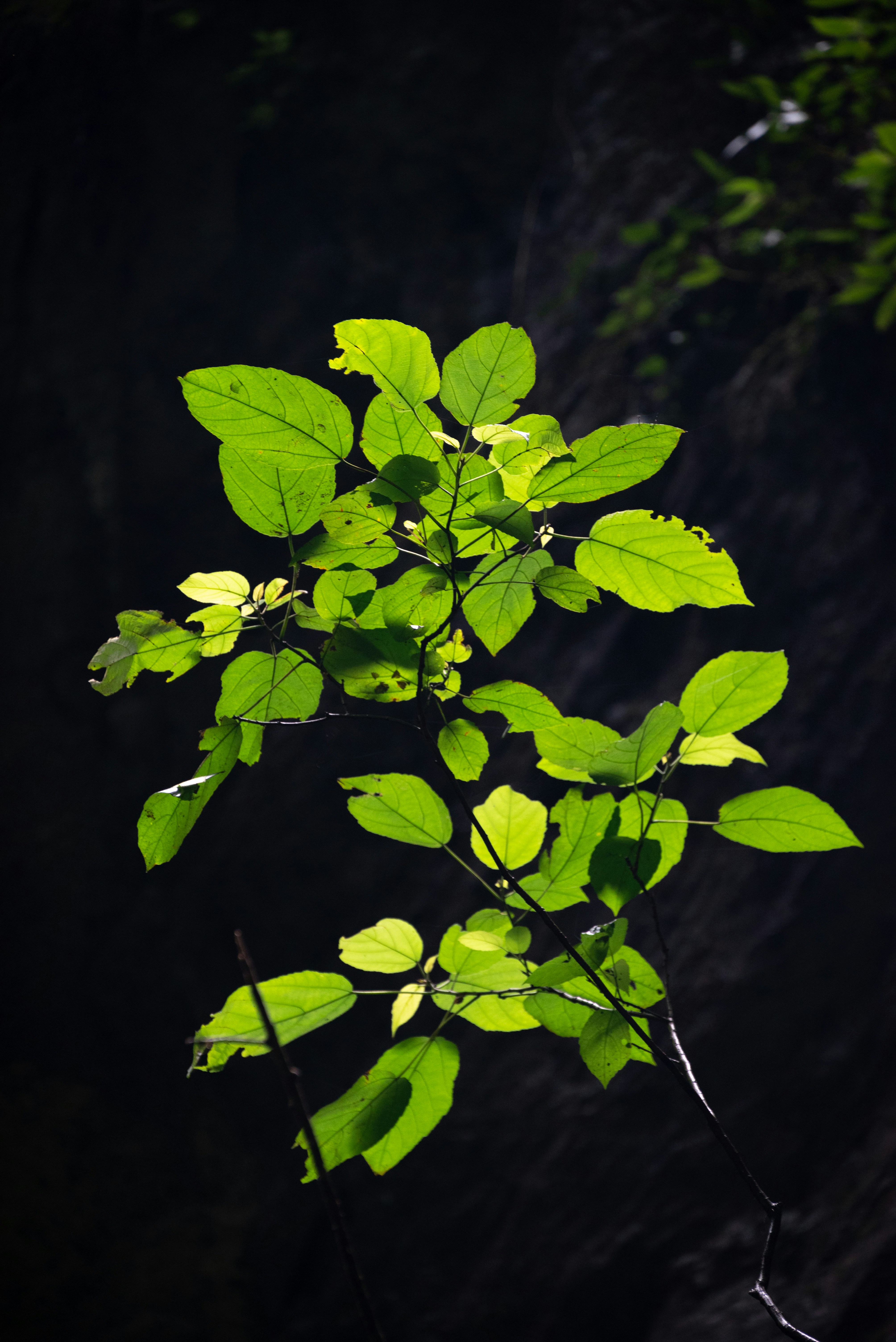 Photo by nikol_royce