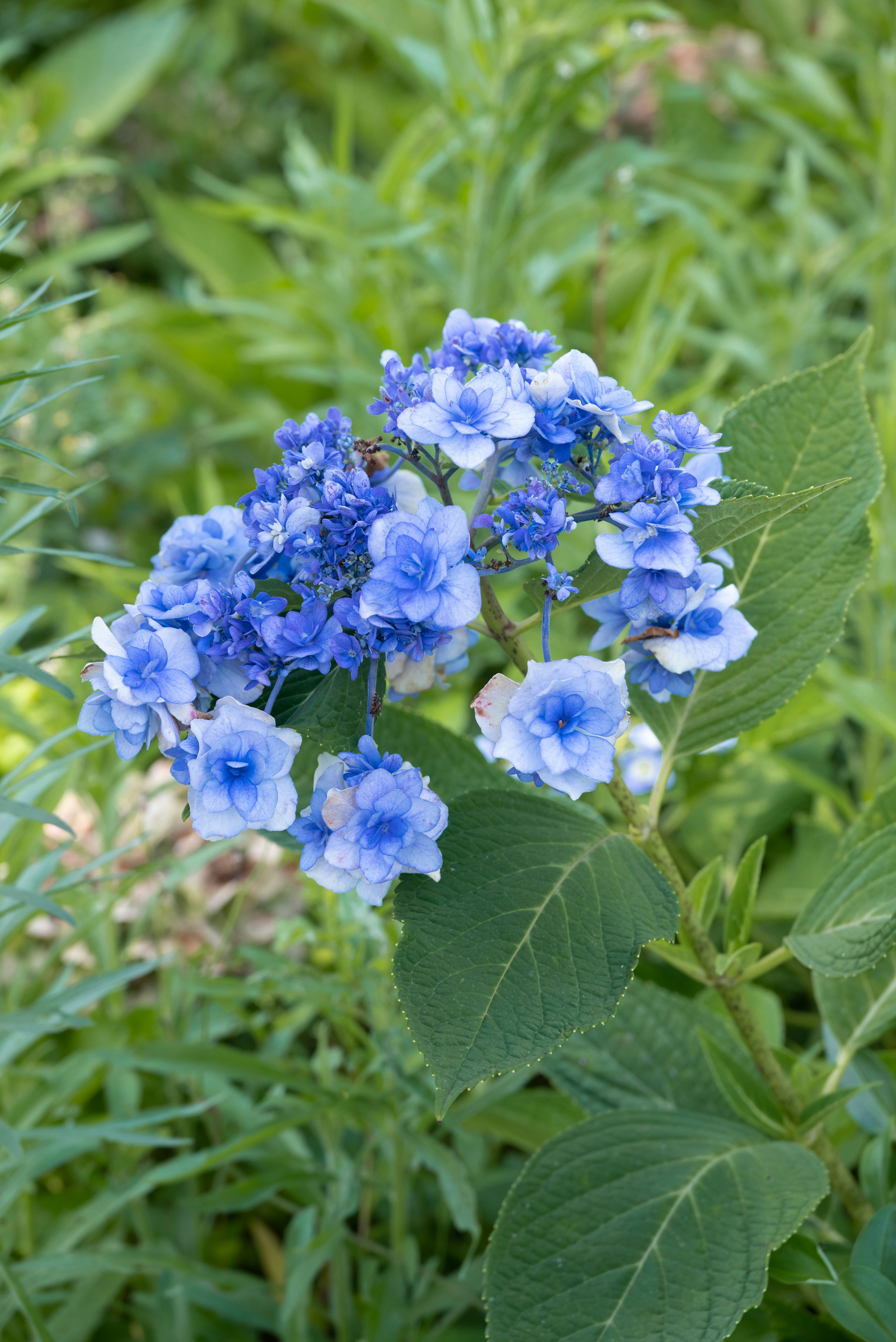 Photo by nikol_royce