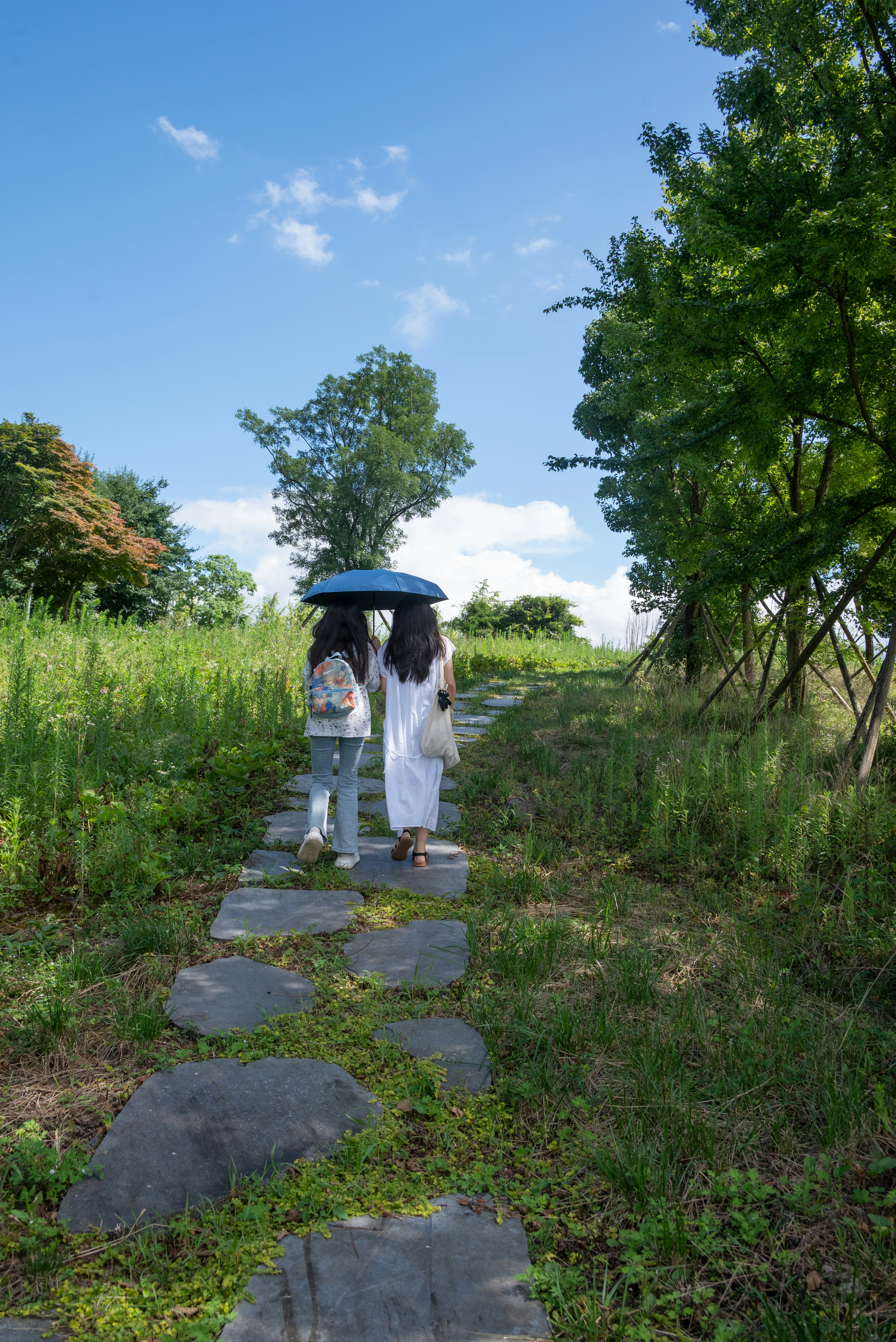 Two people walking down a path with an umbrella
