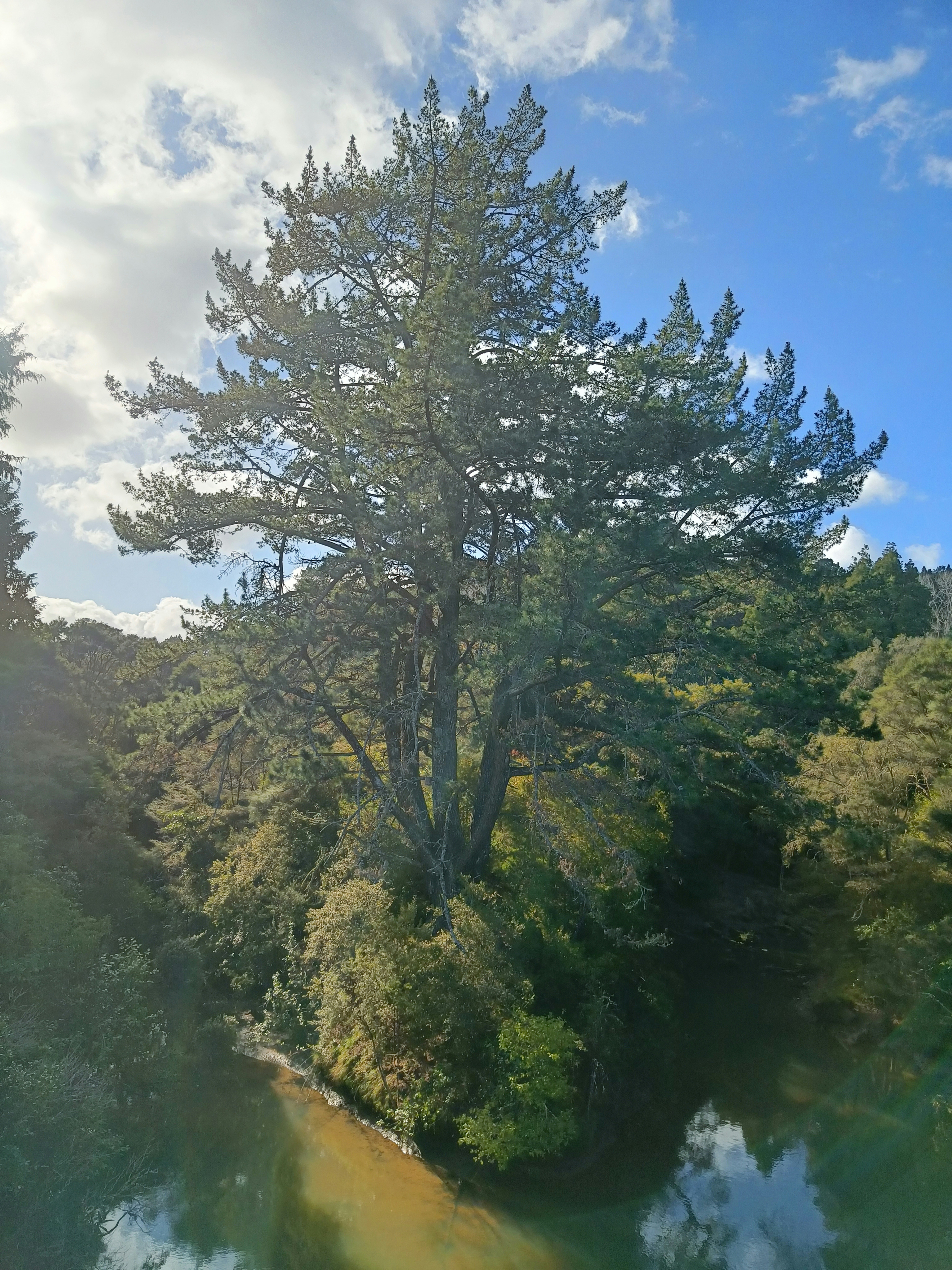 Photo by vamseedharg