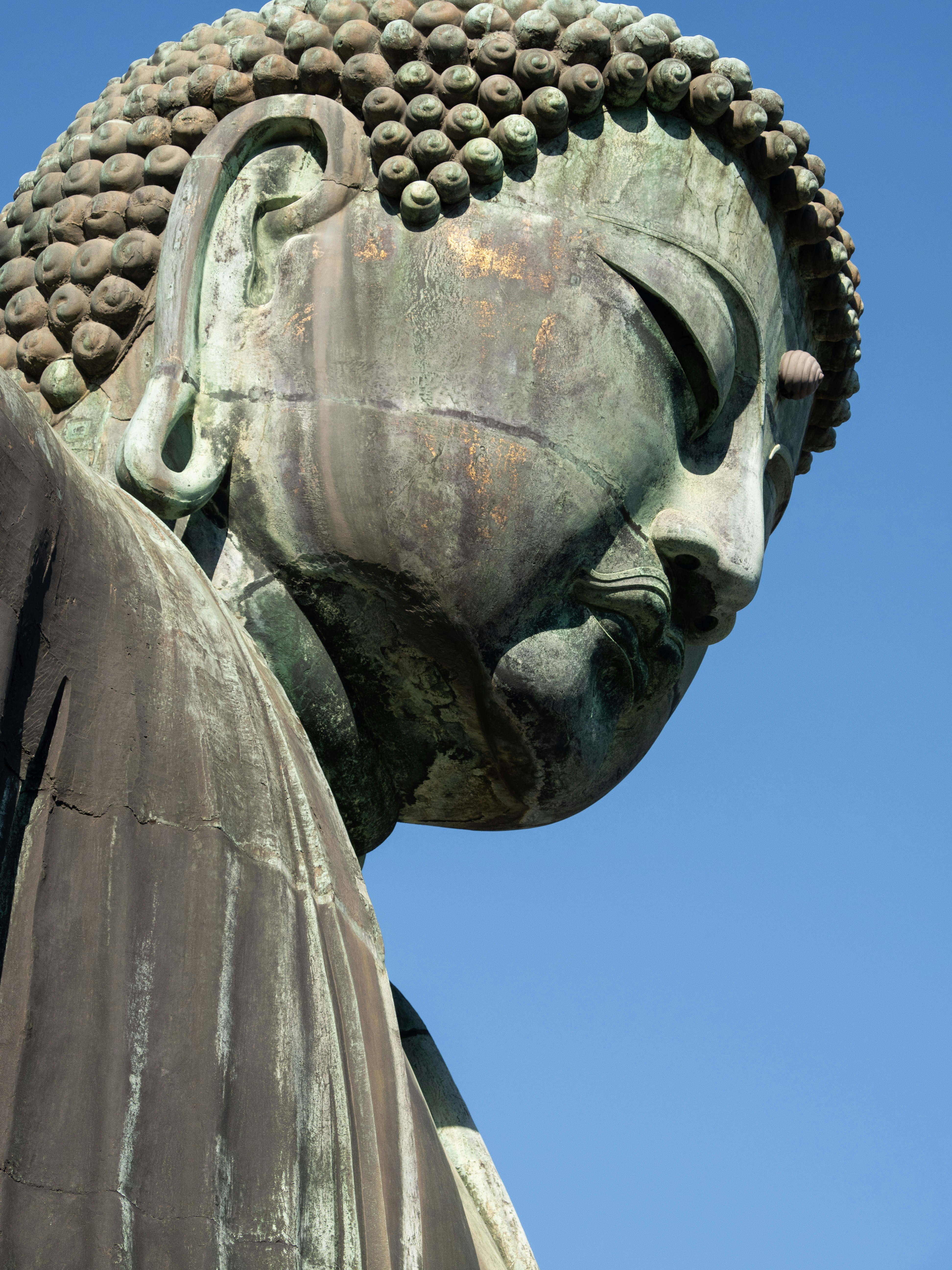 Photo by shellingfordyu