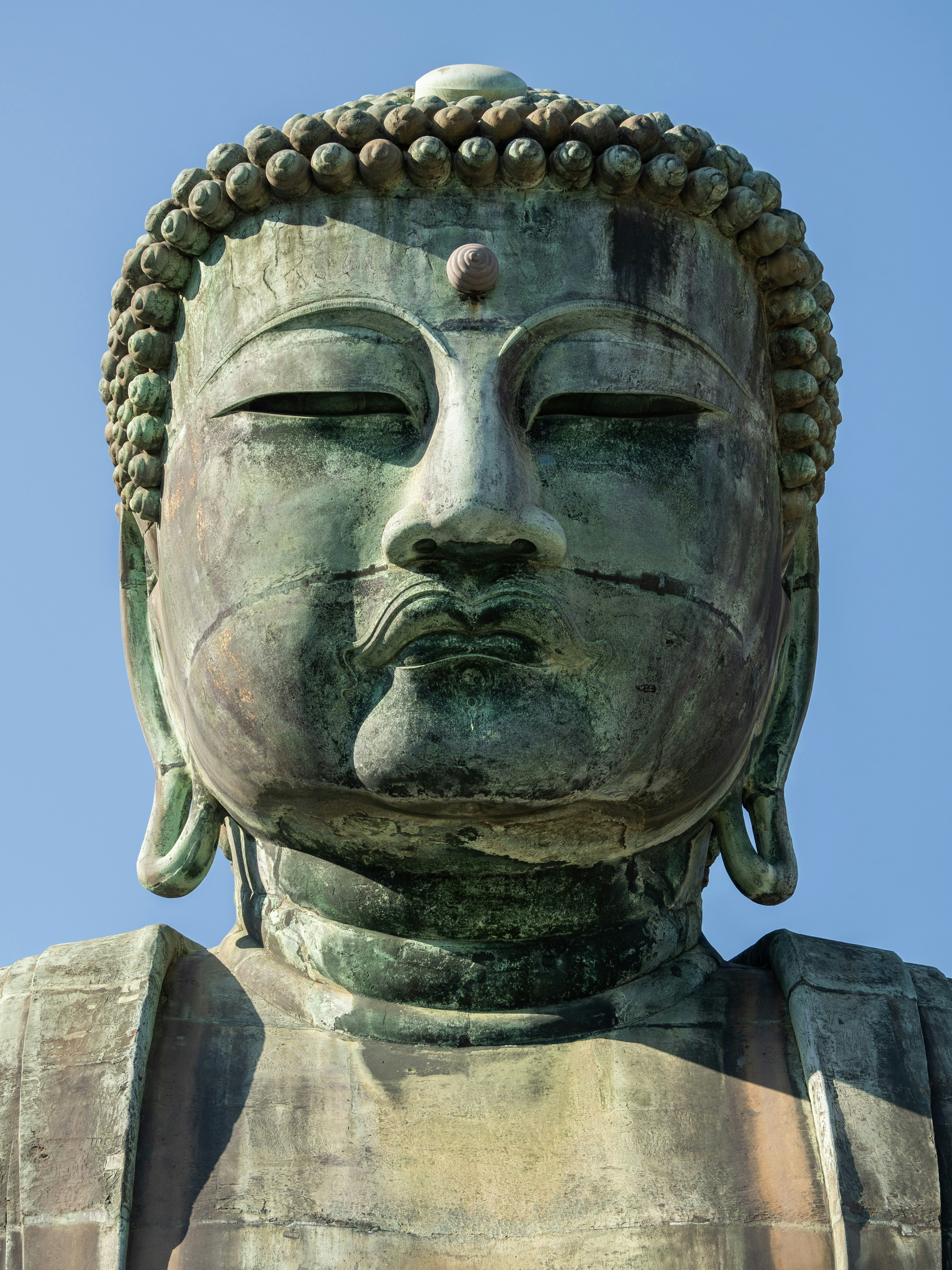 Photo by shellingfordyu