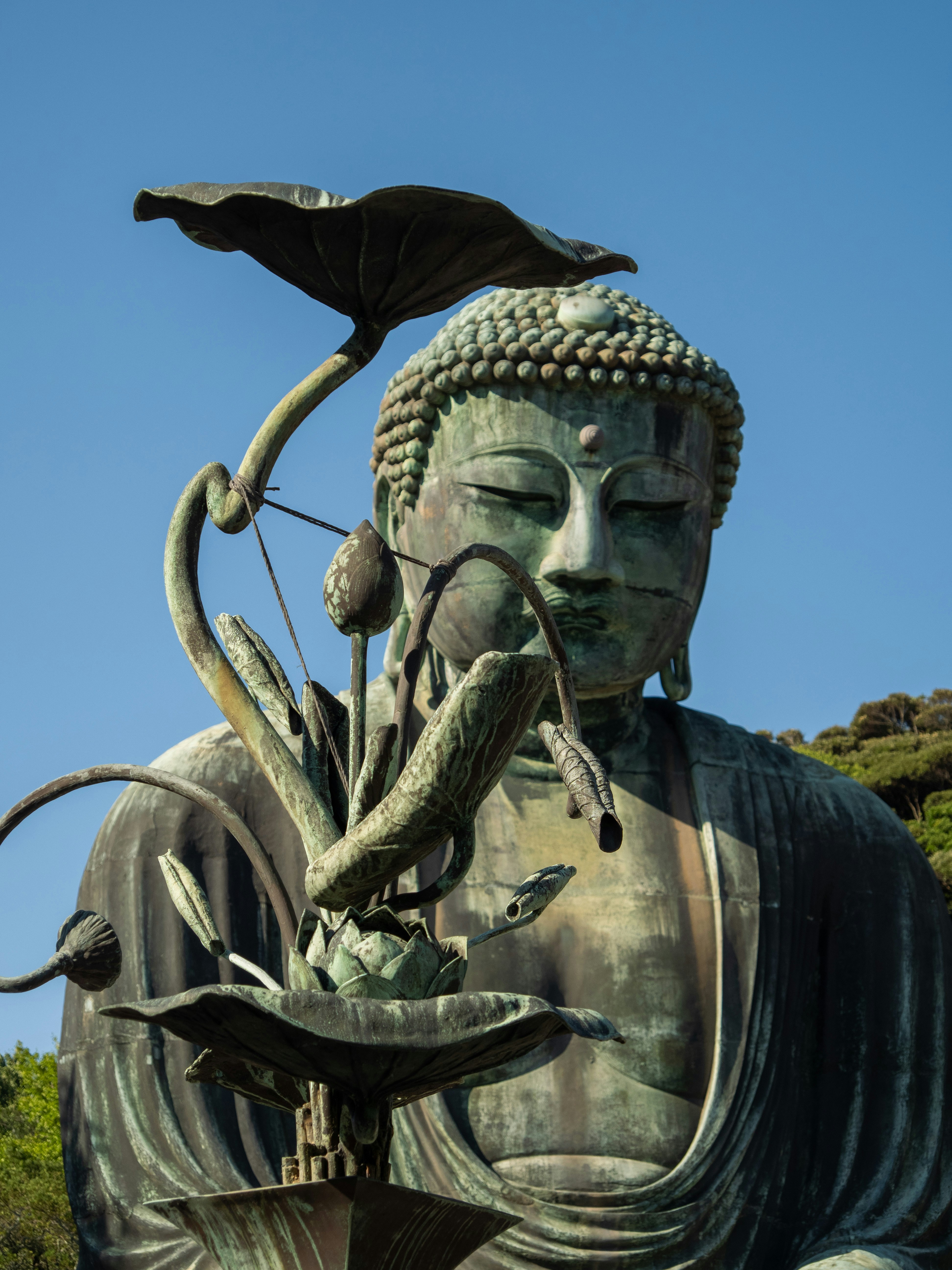 Photo by shellingfordyu