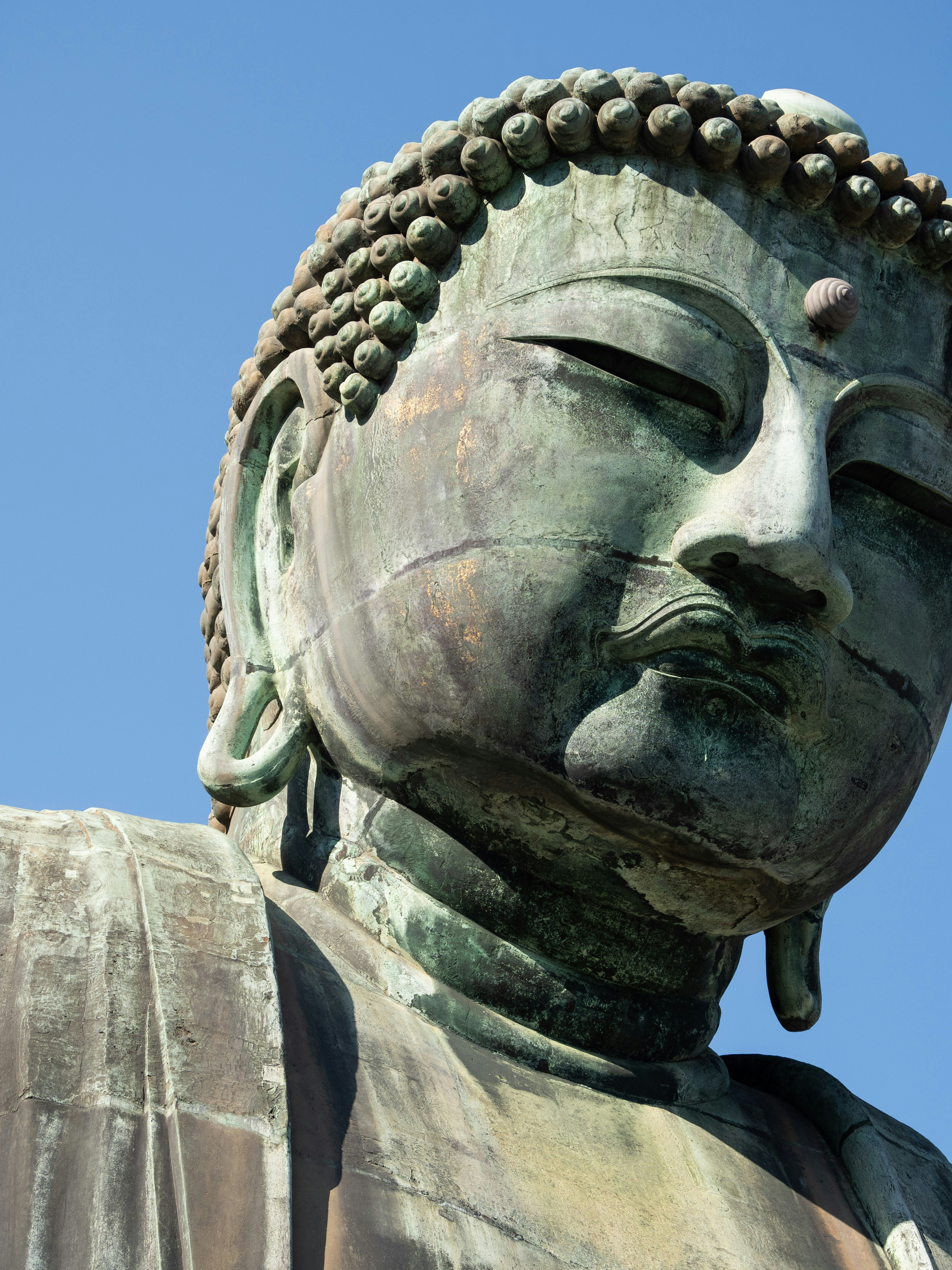 Photo by shellingfordyu