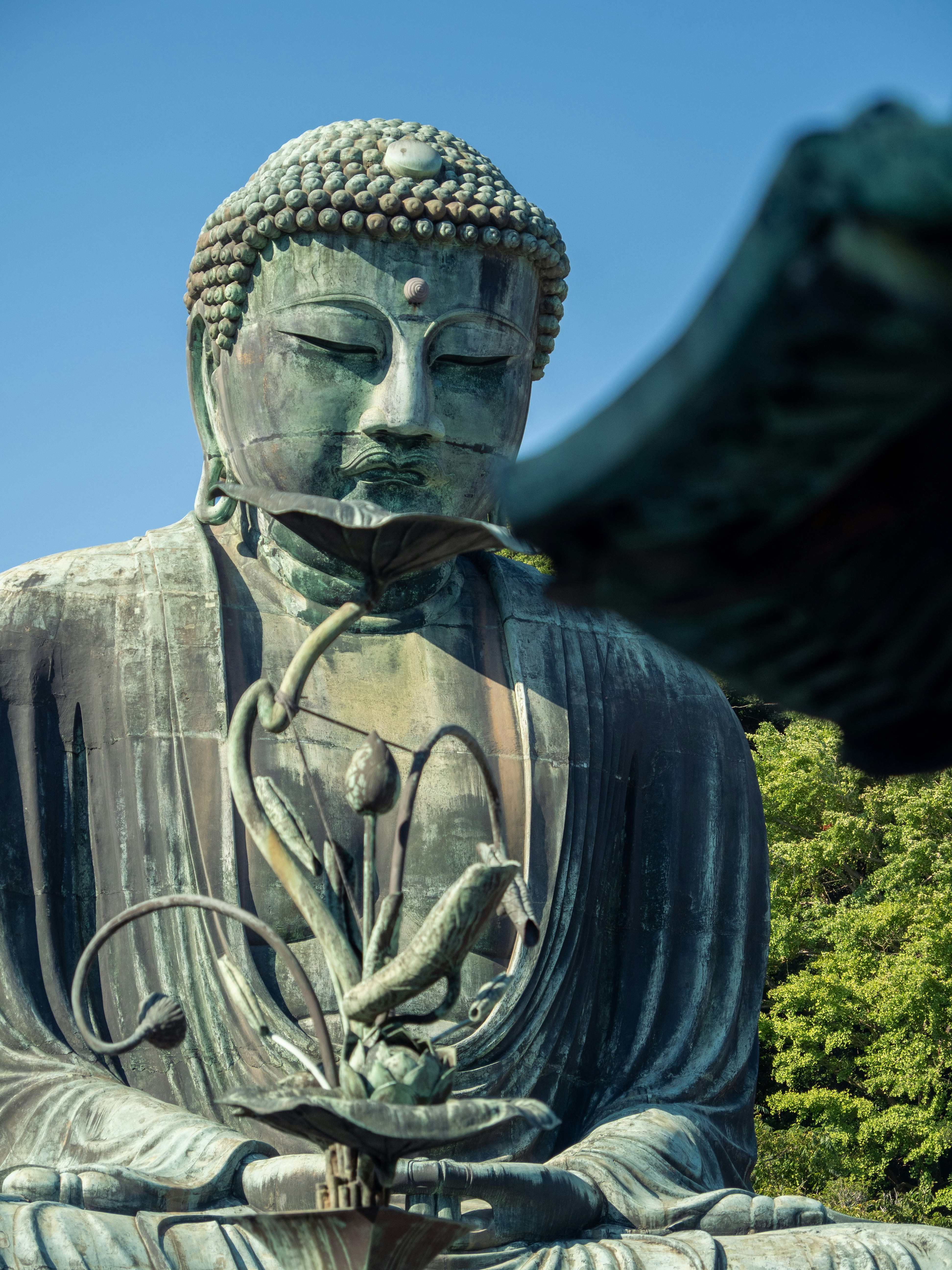 Photo by shellingfordyu