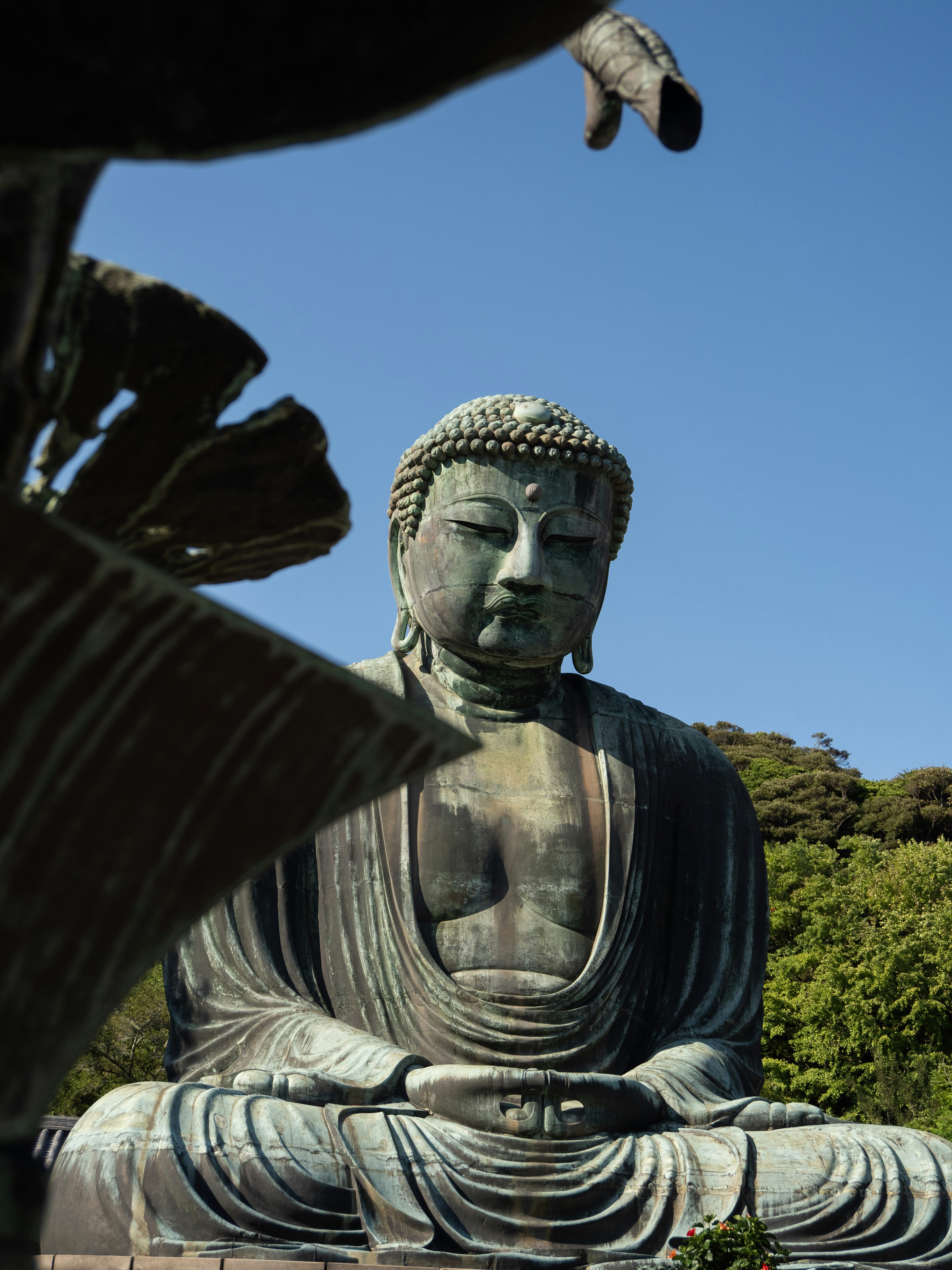 Photo by shellingfordyu