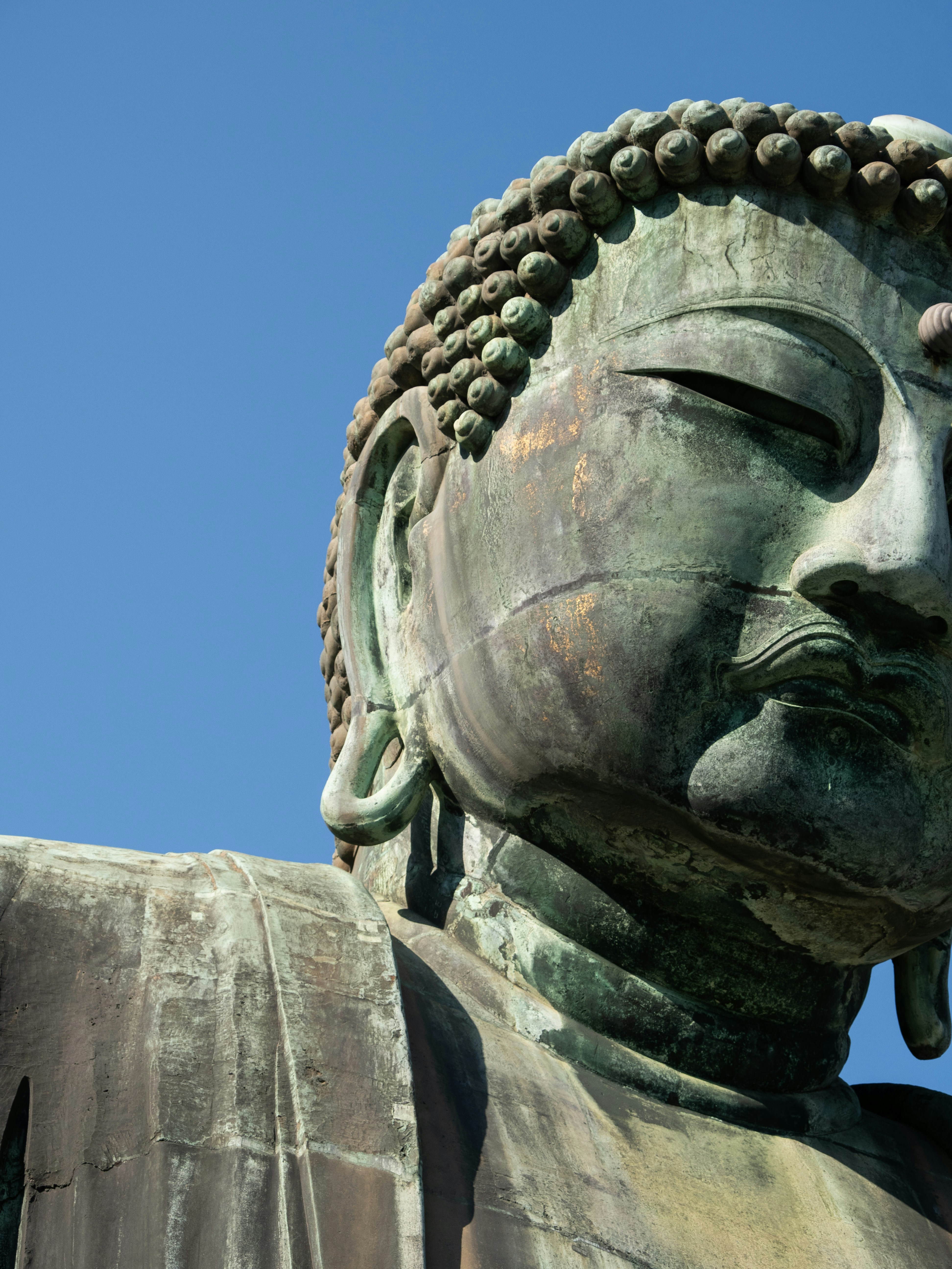 Photo by shellingfordyu