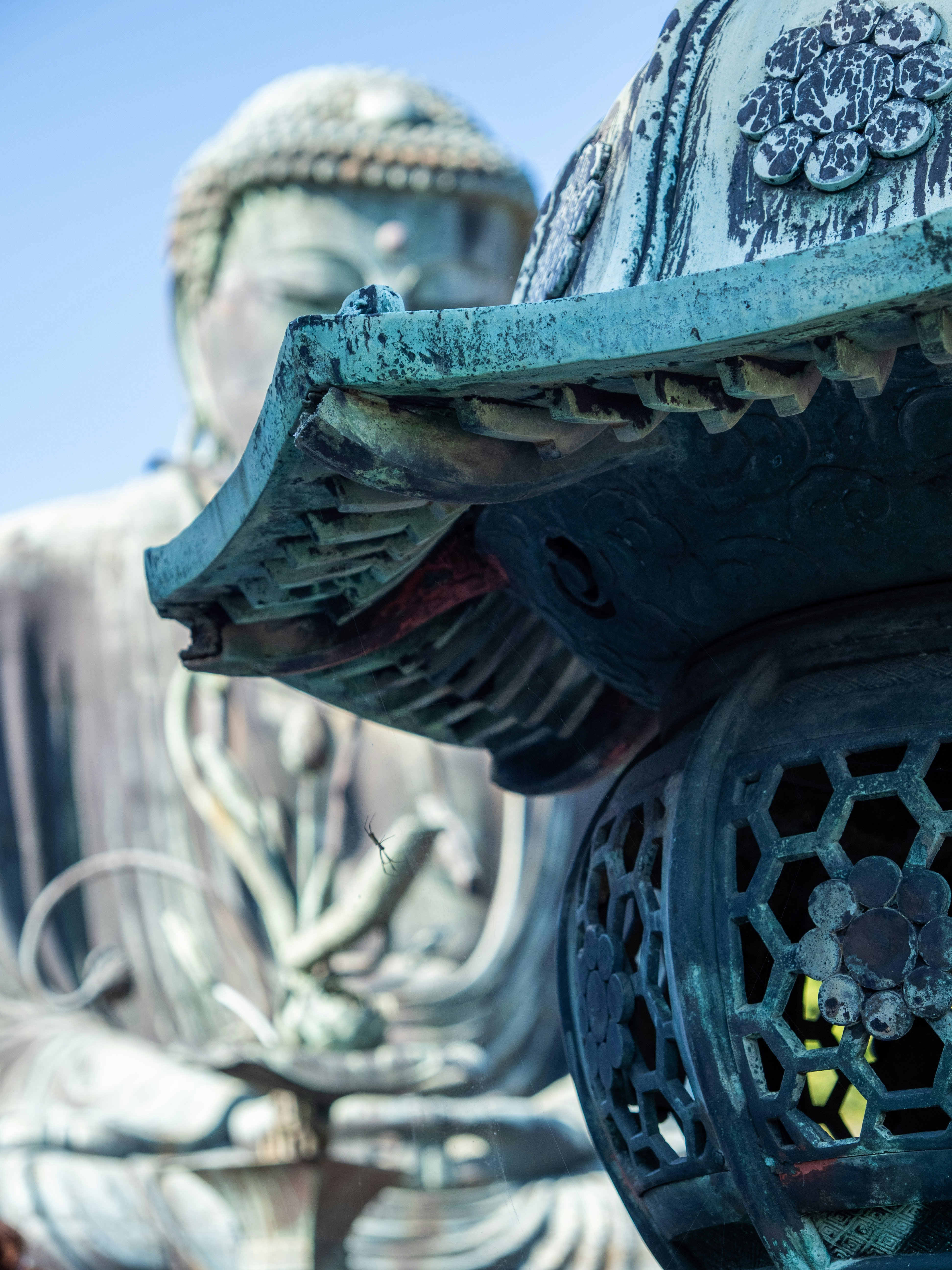 Photo by shellingfordyu