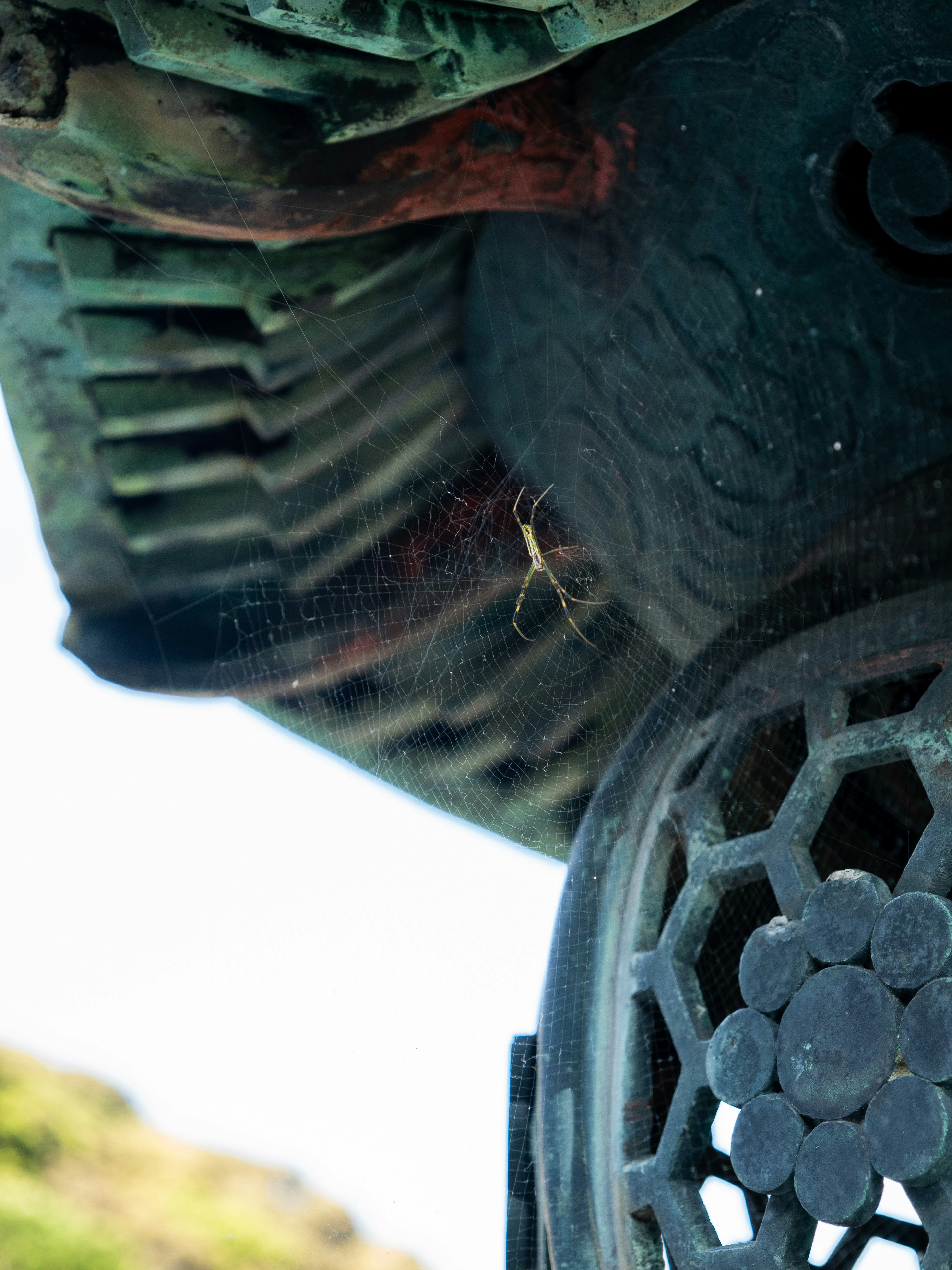 Photo by shellingfordyu