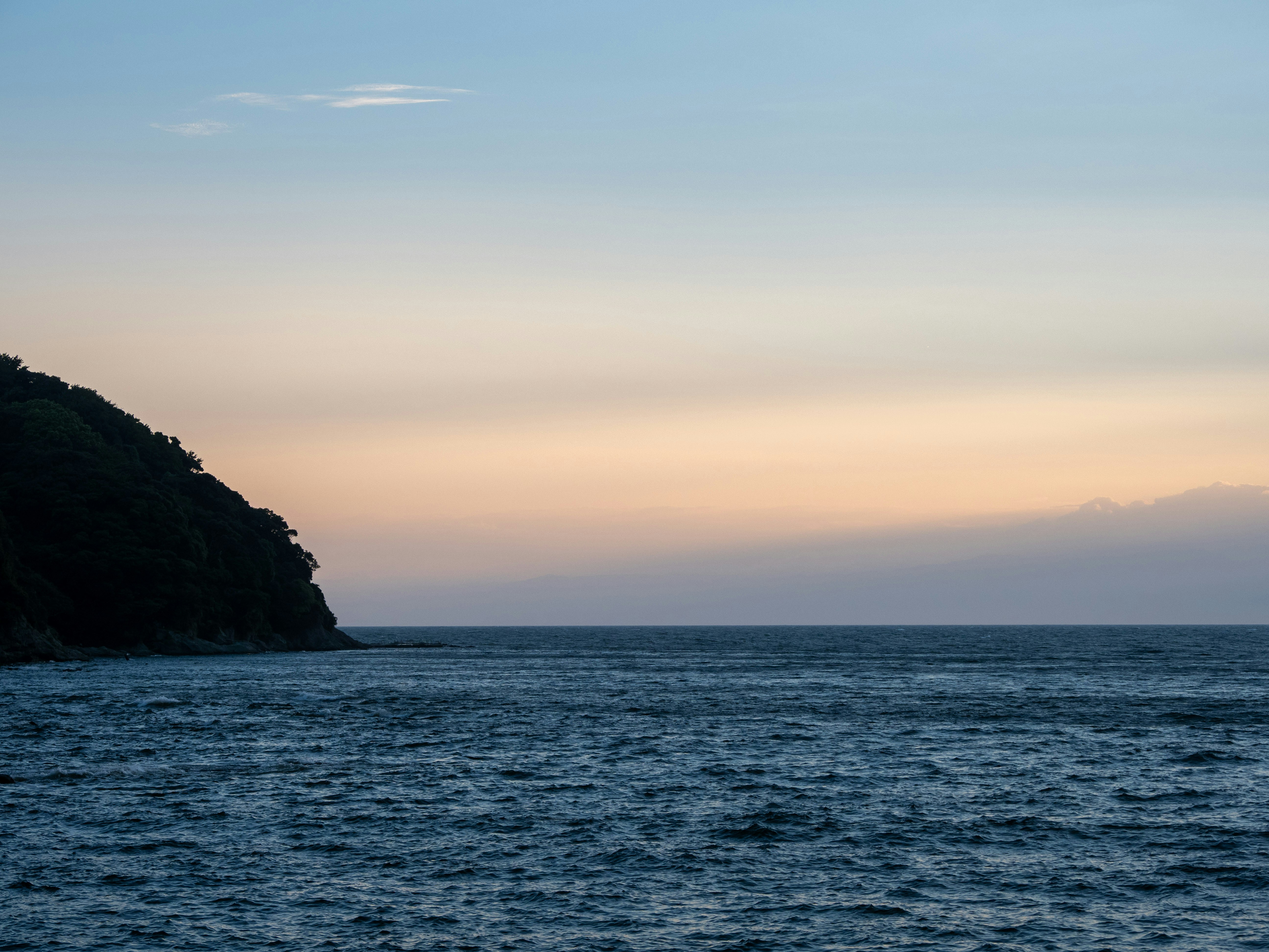 Photo by shellingfordyu