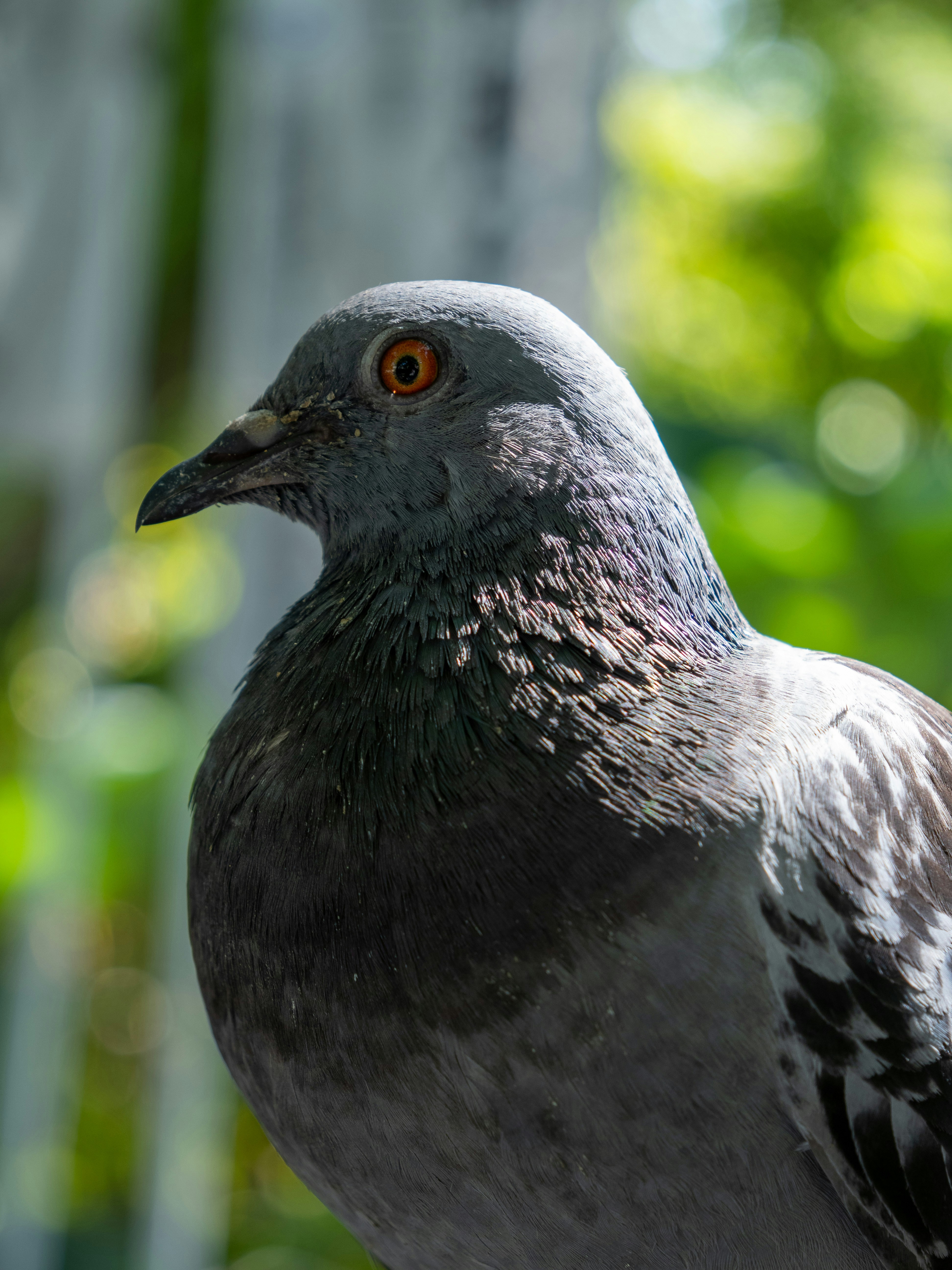 Photo by shellingfordyu