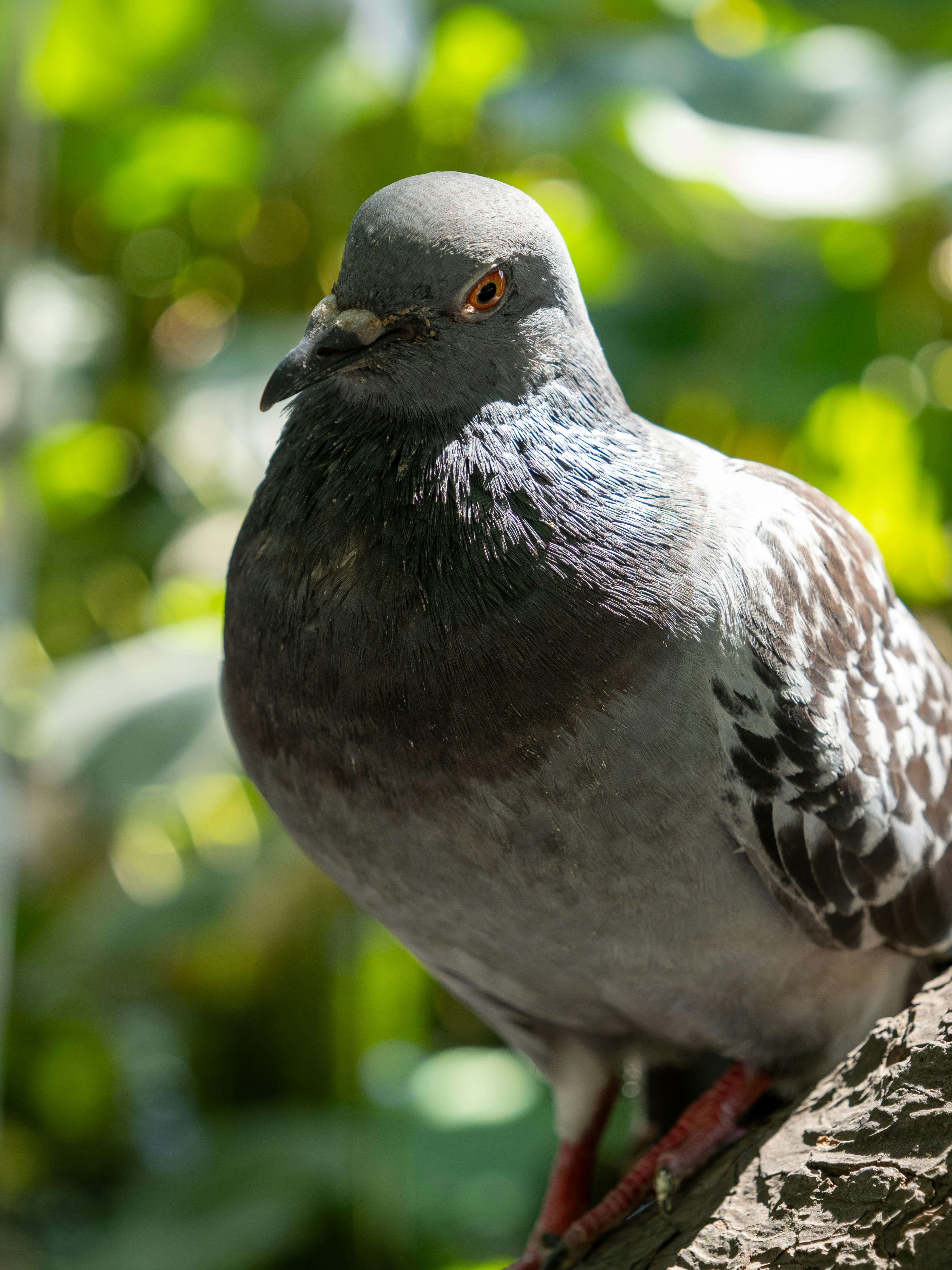 Photo by shellingfordyu