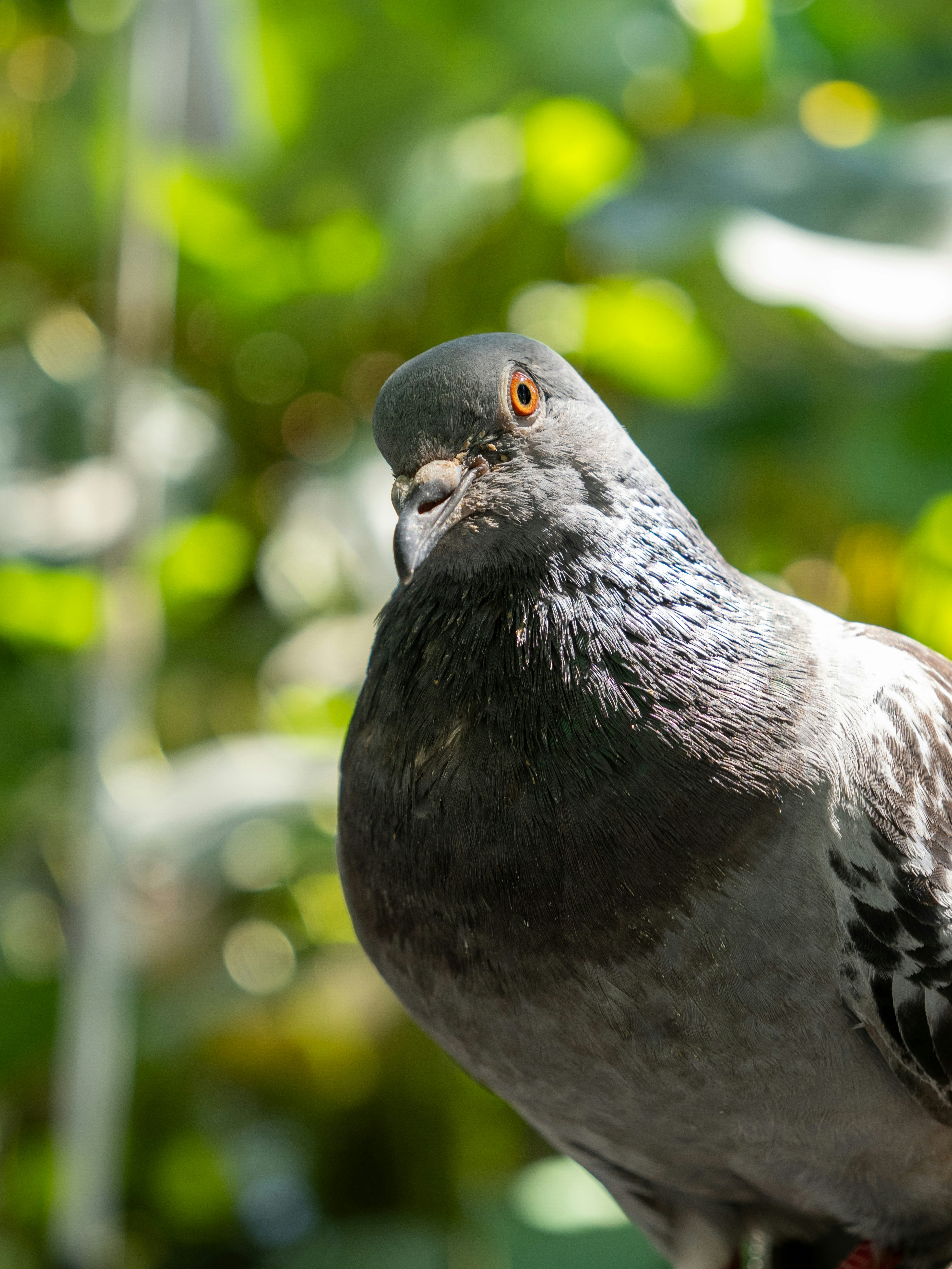 Photo by shellingfordyu