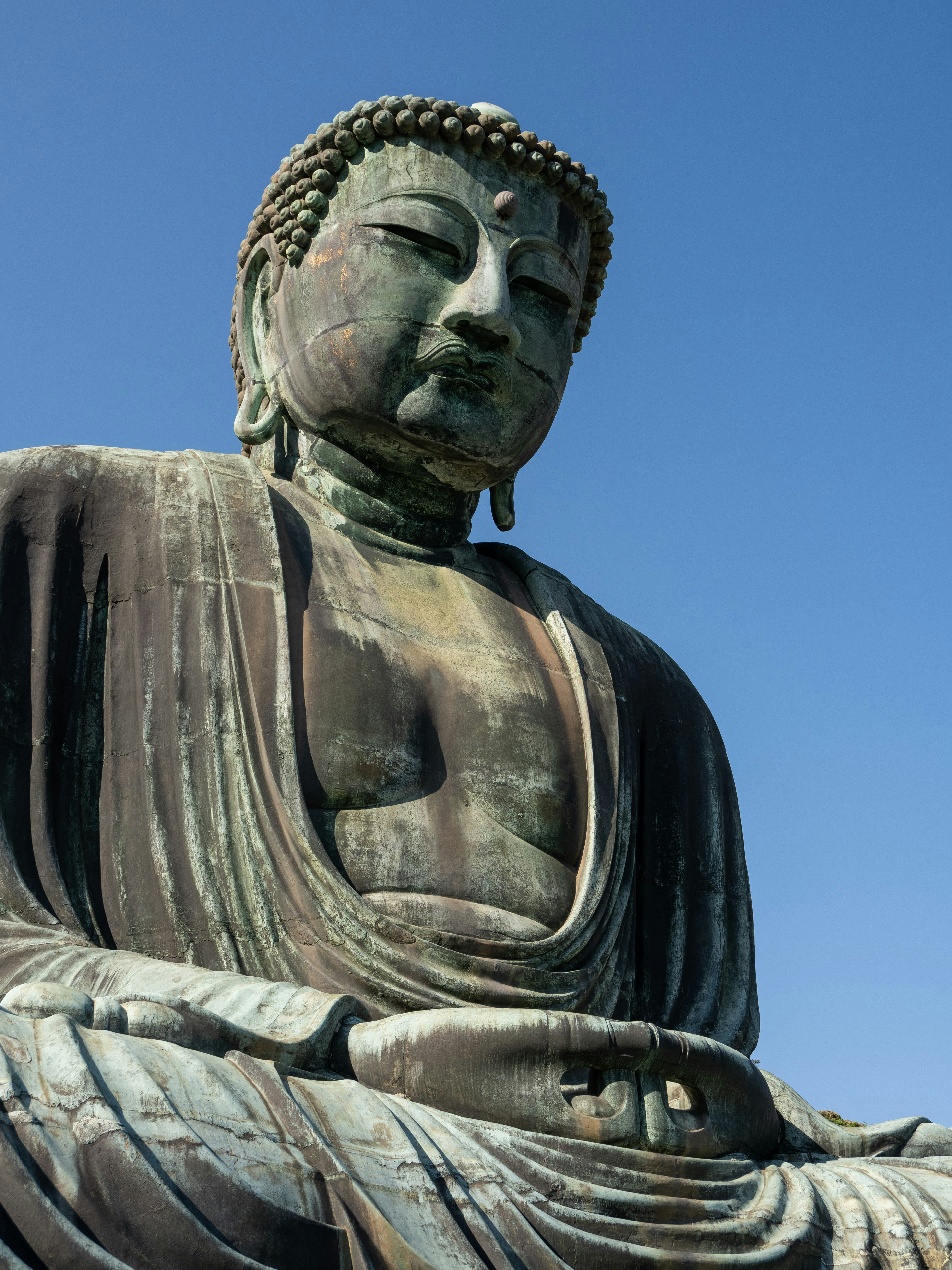 Photo by shellingfordyu