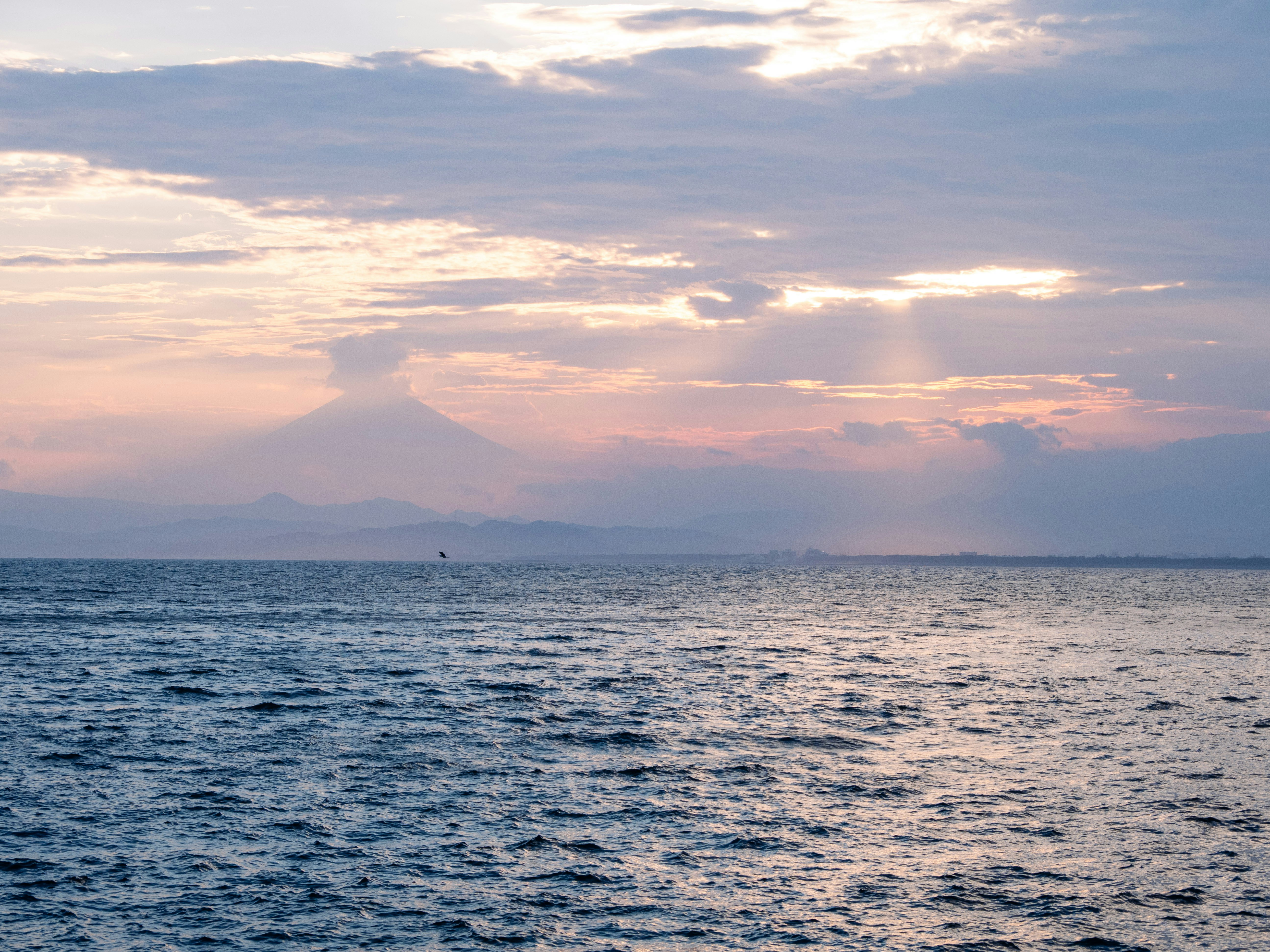 Photo by shellingfordyu