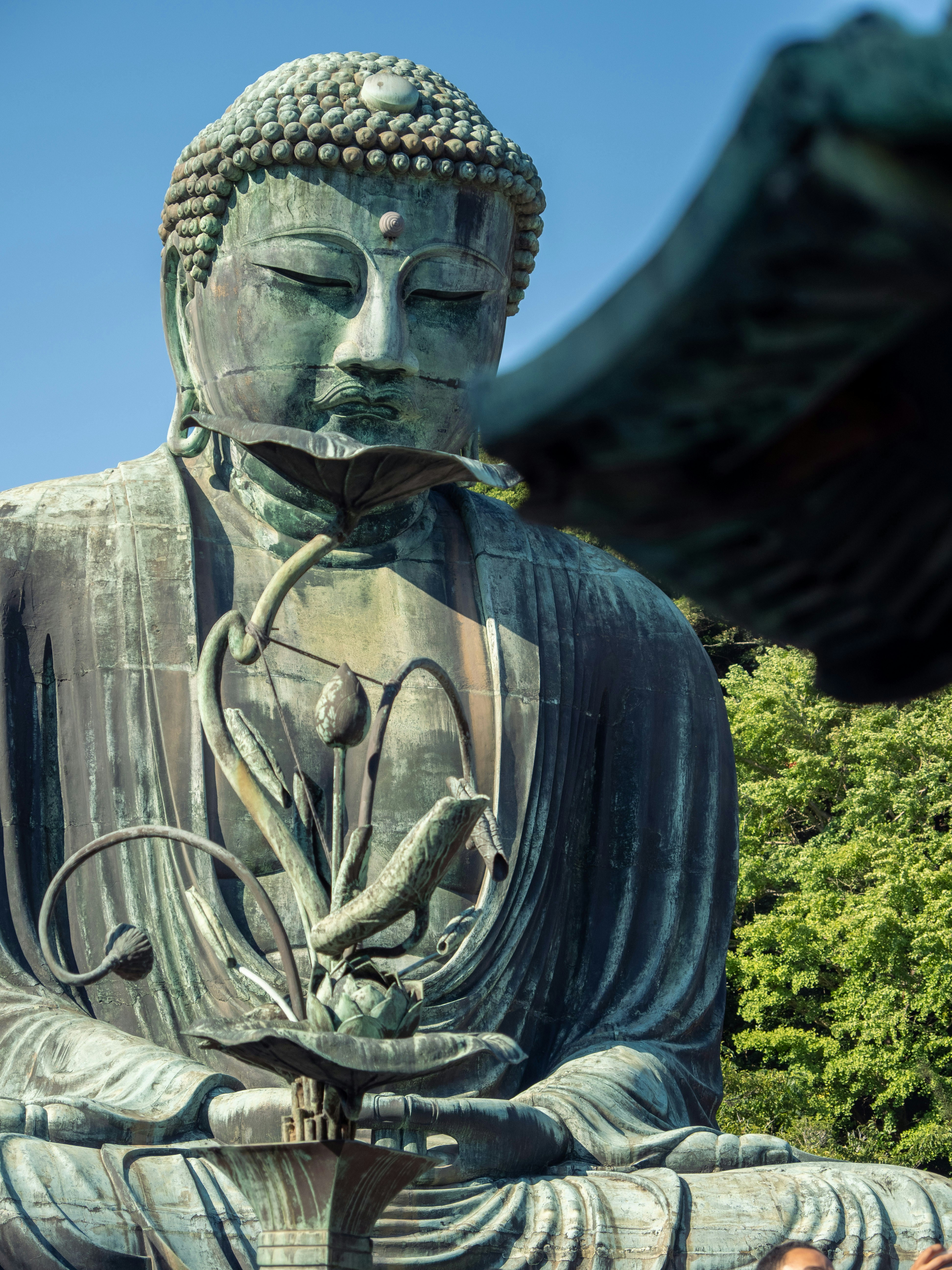 Photo by shellingfordyu