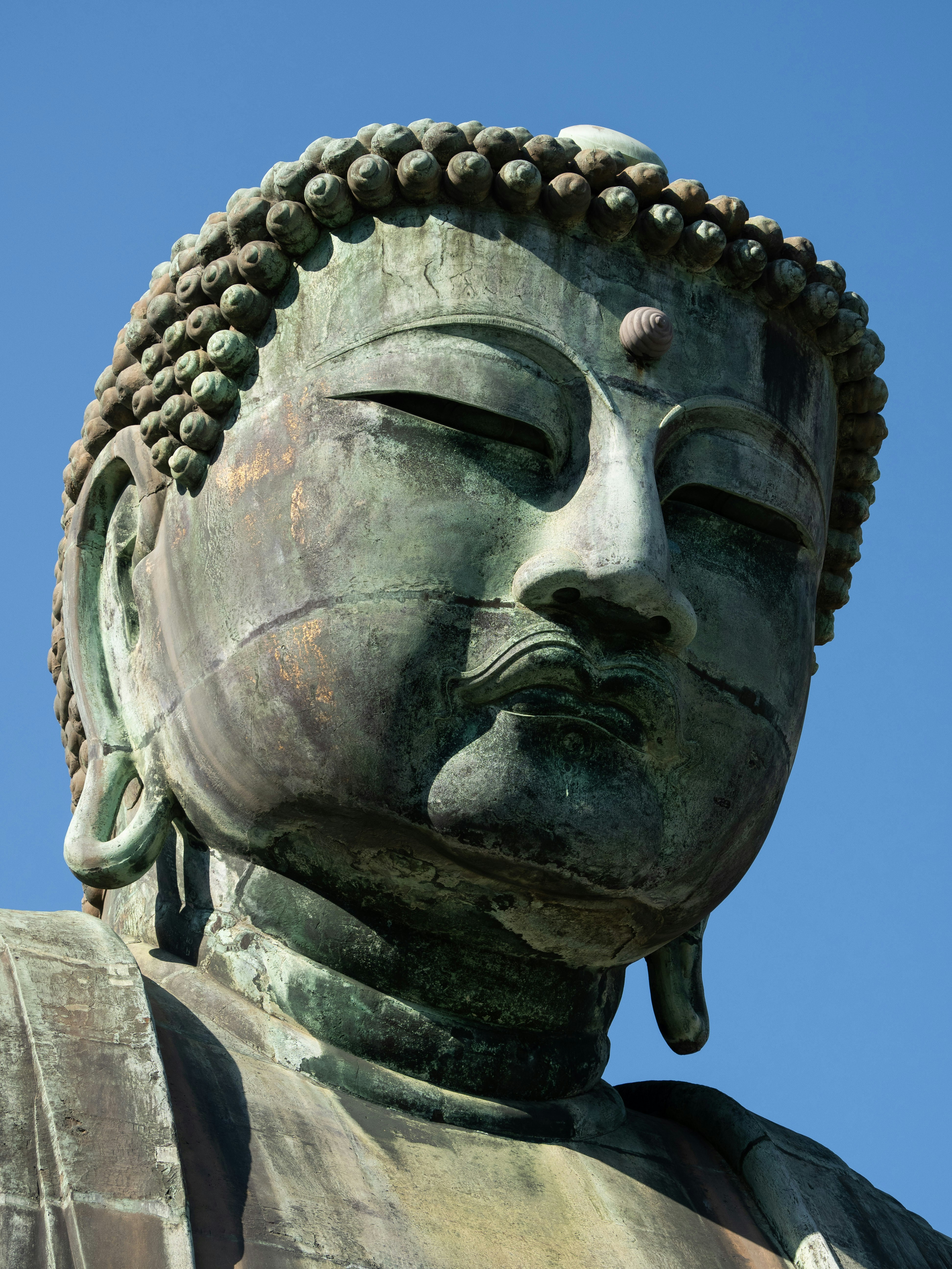 Photo by shellingfordyu