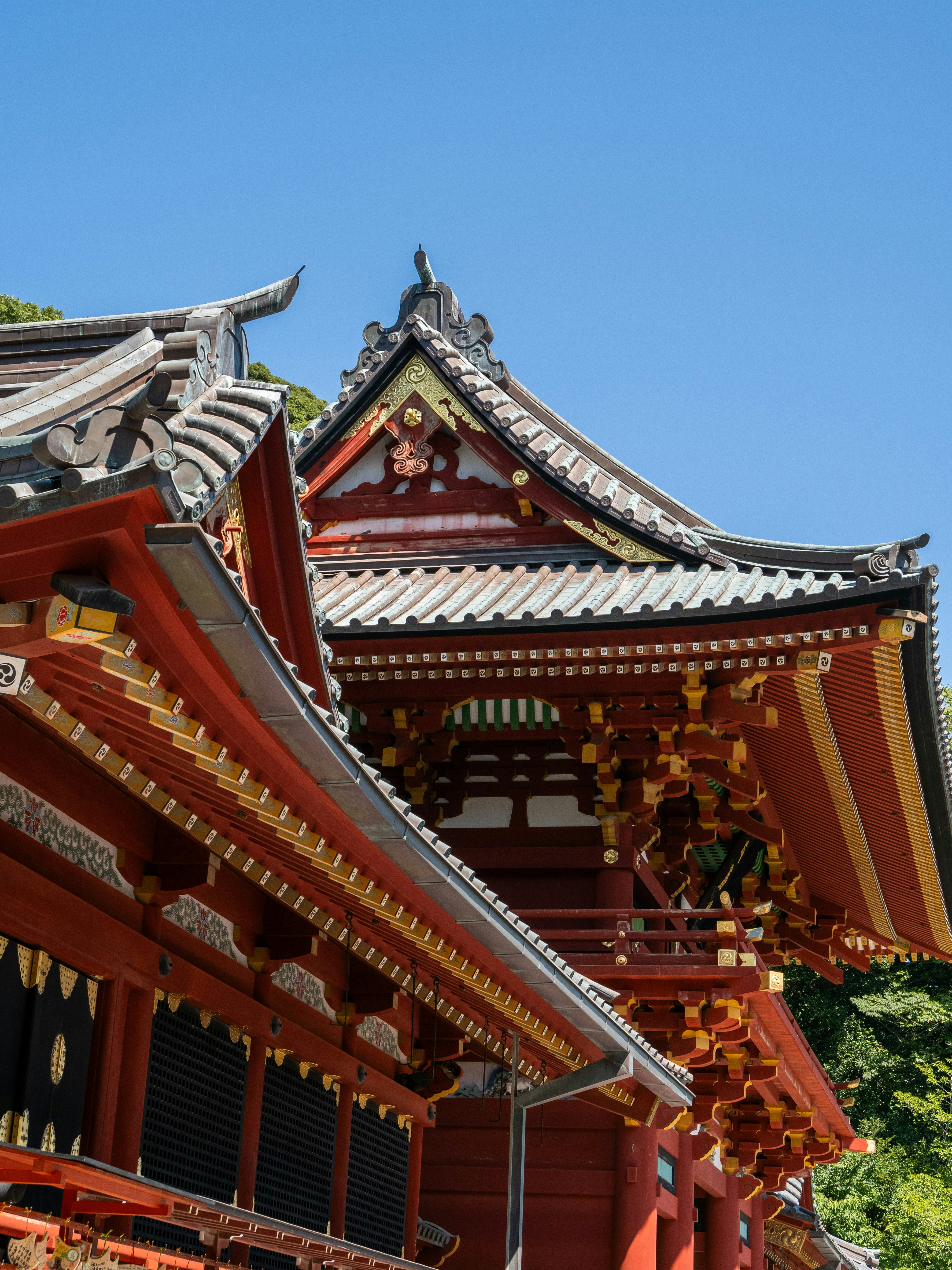 Photo by shellingfordyu