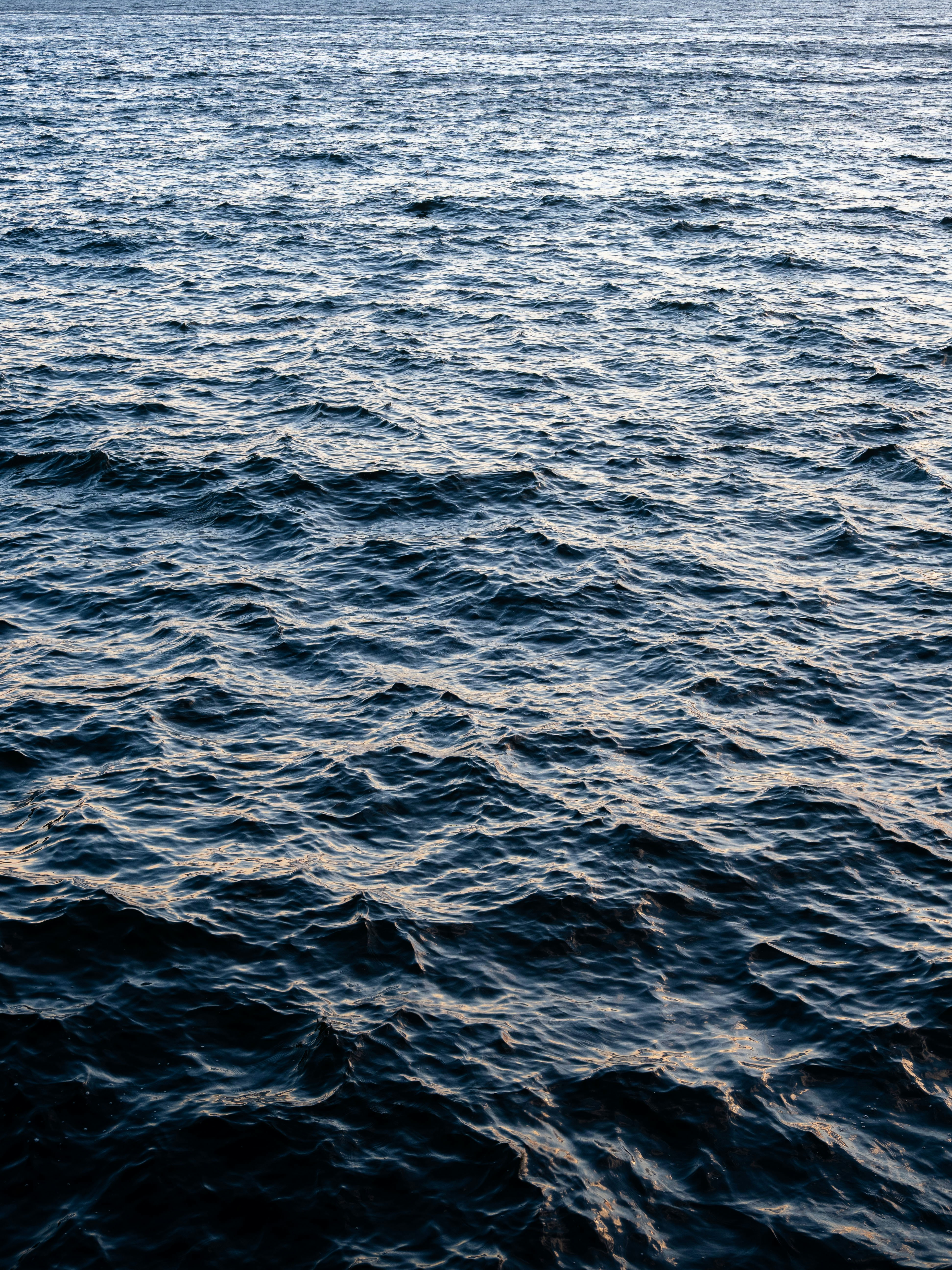 Photo by shellingfordyu