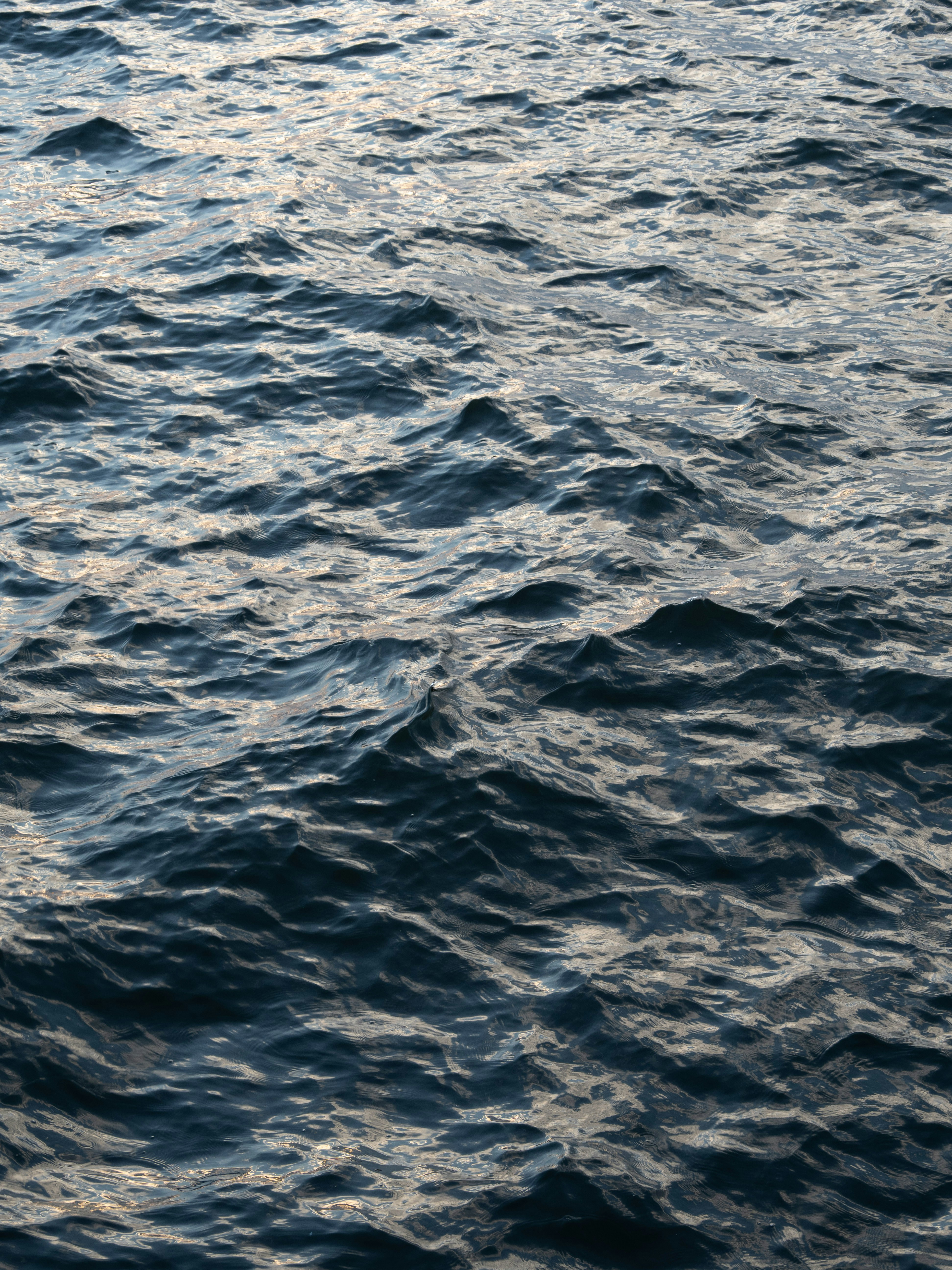 Photo by shellingfordyu